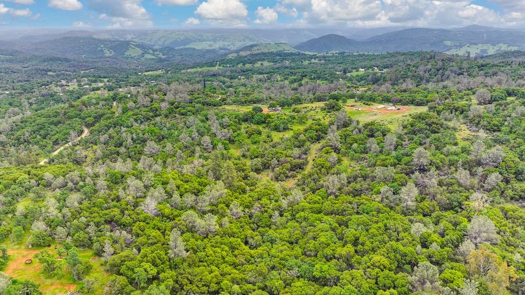 4822 Salmon Falls Road Pilot Hill, CA 95664 - Photo 61 of 63