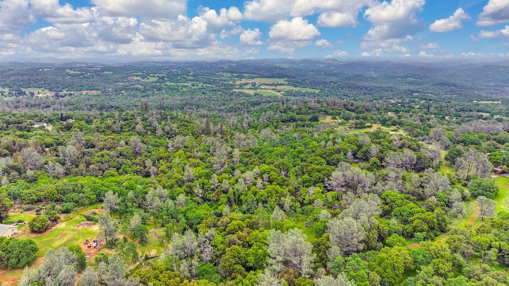 4822 Salmon Falls Road Pilot Hill, CA 95664 - Photo 62 of 63