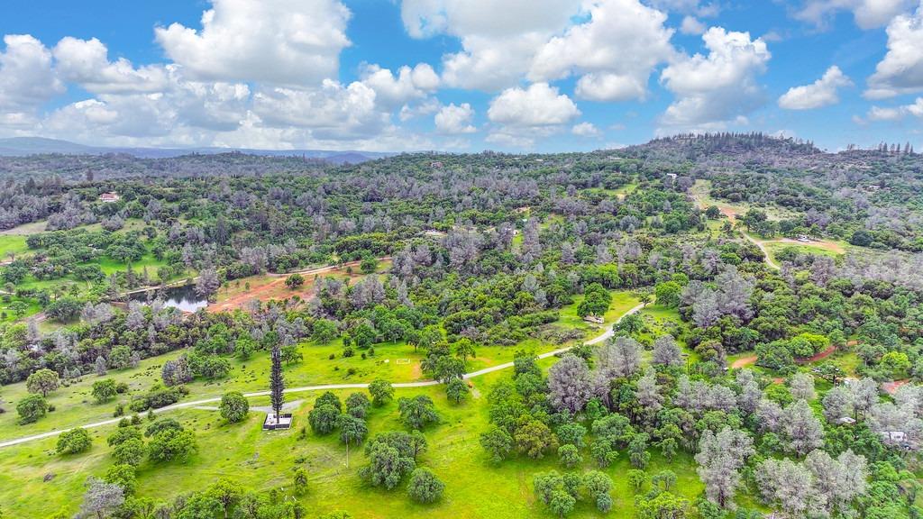 4822 Salmon Falls Road Pilot Hill, CA 95664 - Photo 10 of 63