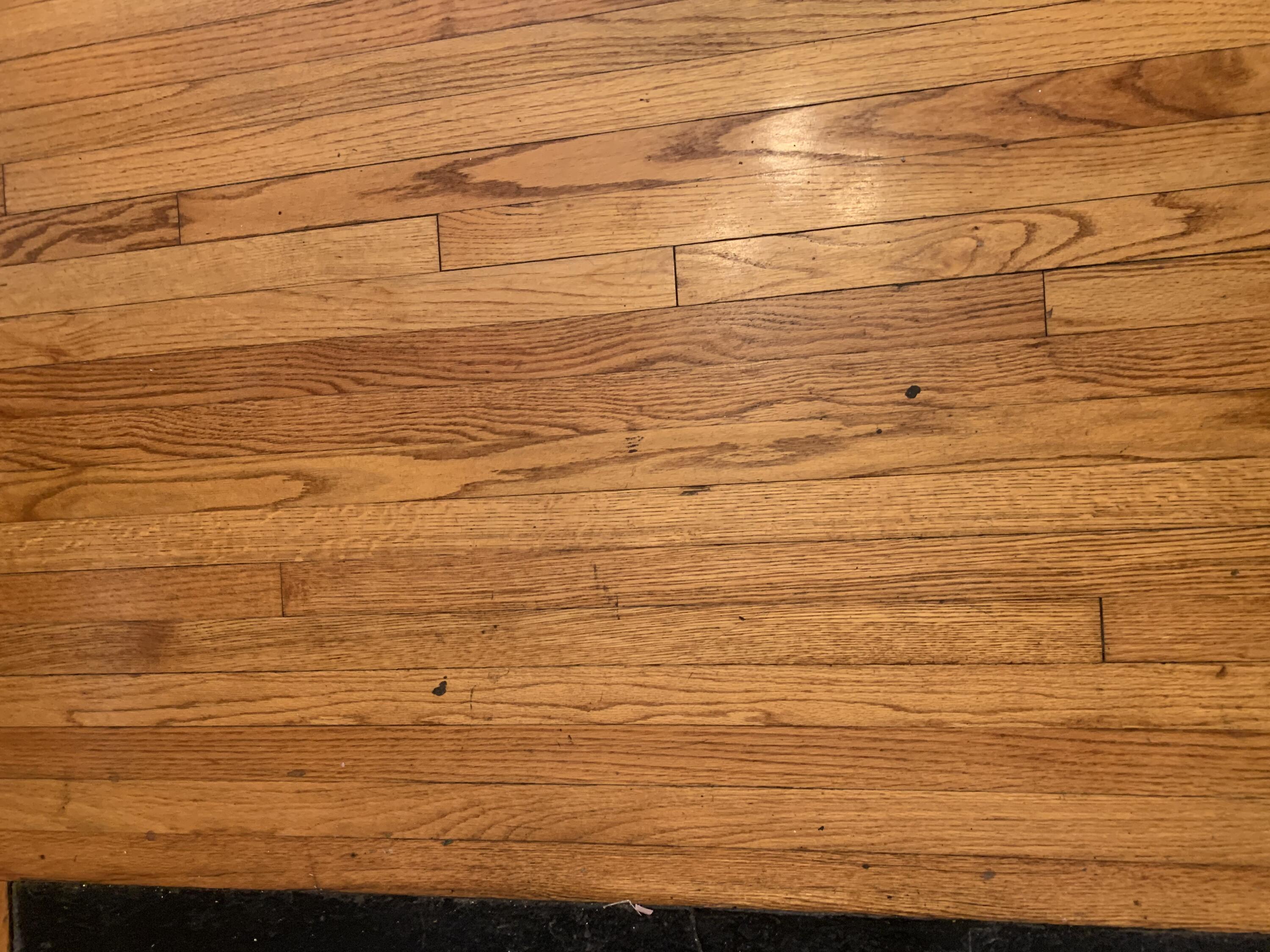 35 Lenox Street Charleston, SC 29403 - Photo 4 of 10 Hardwoodfloors