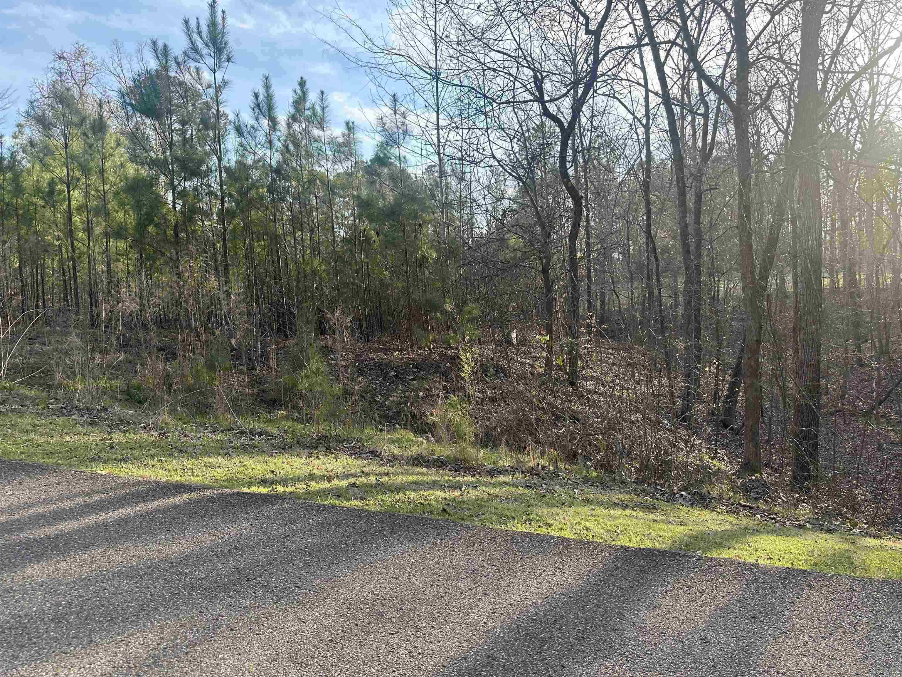0 Shiloh Falls Court Road Counce, TN 38326 - Photo 2 of 9 a view of a yard with large trees