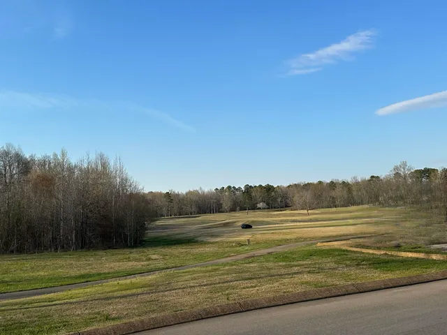 a view of a field with trees