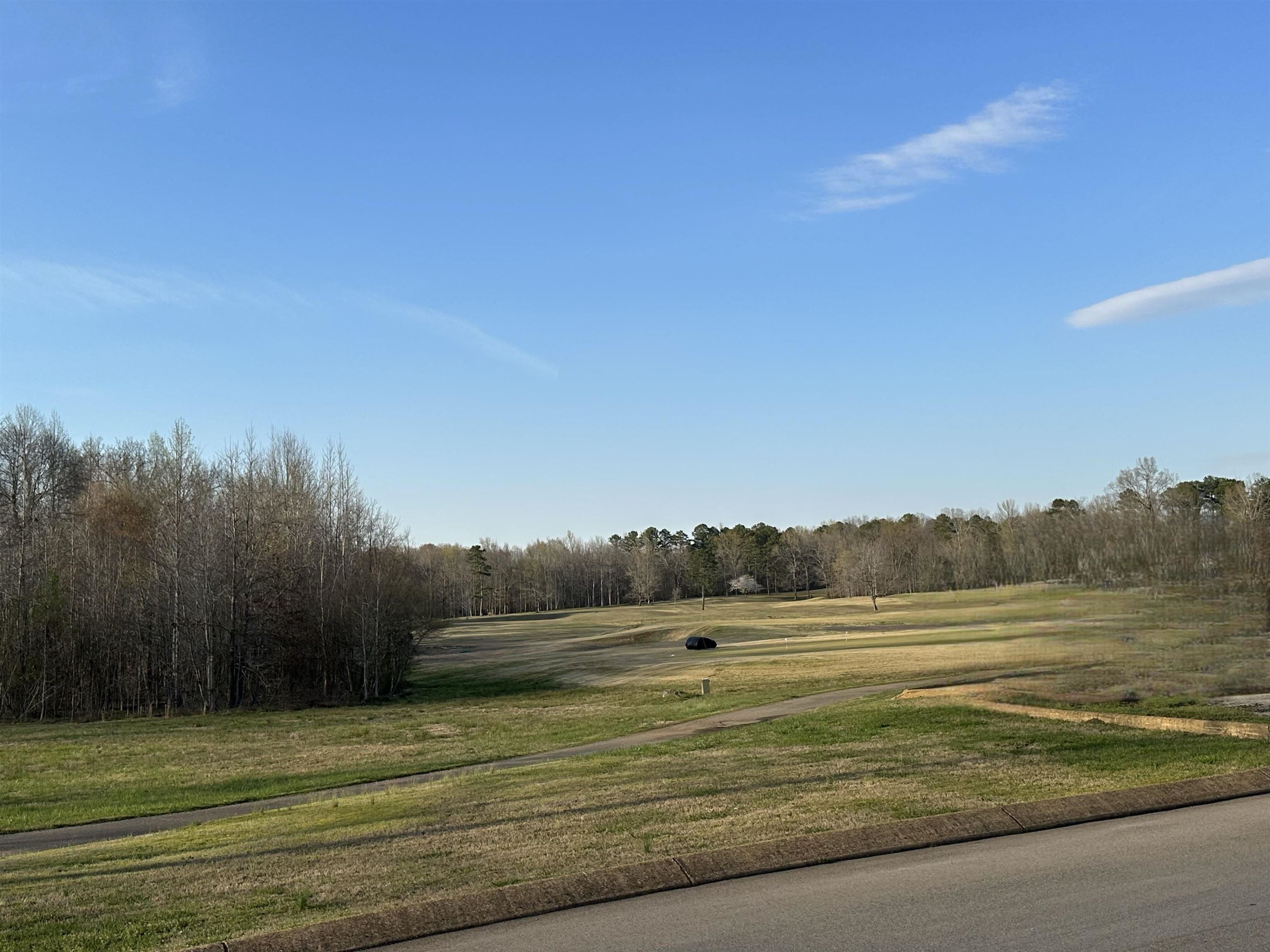 0 Shiloh Falls Court Road Counce, TN 38326 - Photo 9 of 9 a view of a field with trees