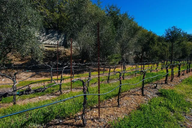 $15,500,000 | 1001 Silverado Trail South, St. Helena, CA 94574