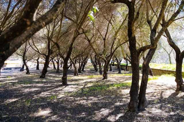 $15,500,000 | 1001 Silverado Trail South, St. Helena, CA 94574