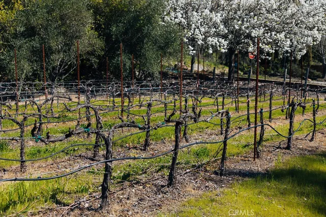 $15,500,000 | 1001 Silverado Trail South, St. Helena, CA 94574