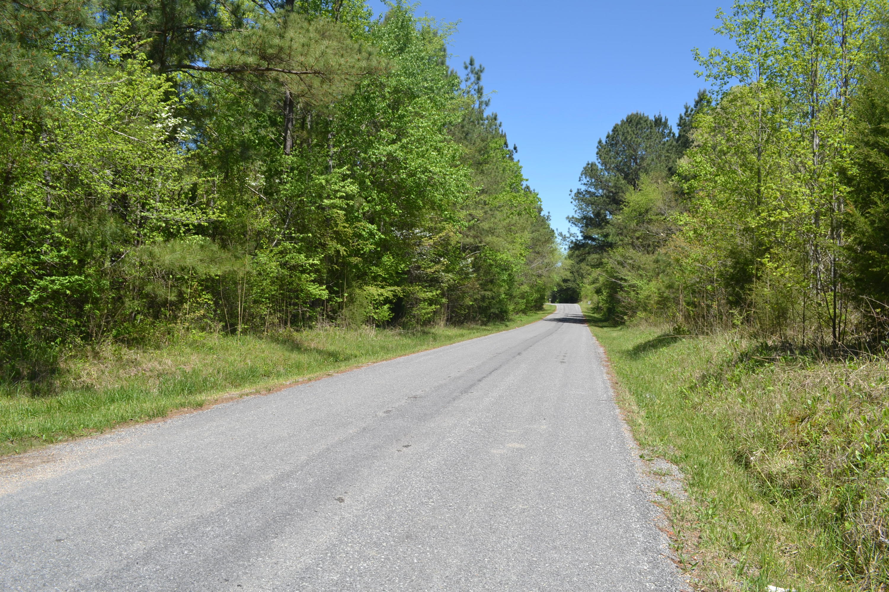 Ten Mile Tn 37880 Road Decatur, TN 37322 - Photo 6 of 6 1
