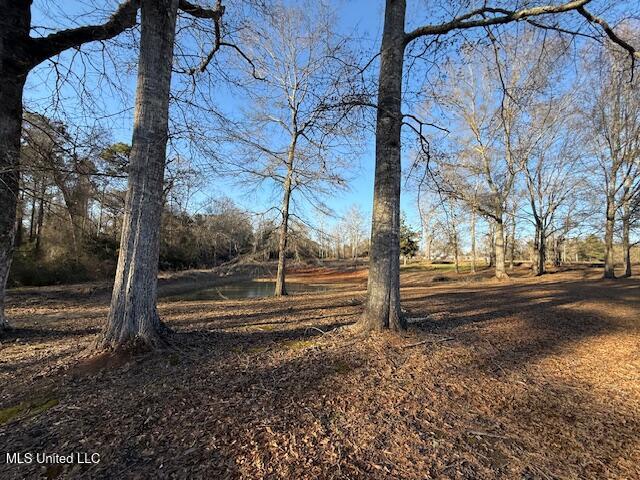 47763 Joby Magee Road Franklinton, LA 70438 - Photo 27 of 33 IMG_2651
