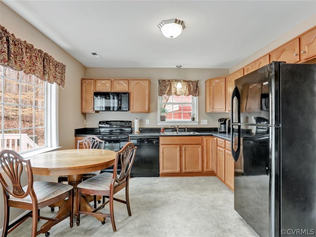 6672 Blenheim Road Powhatan, VA 23139 - Photo 11 of 26 Gallery Image 11