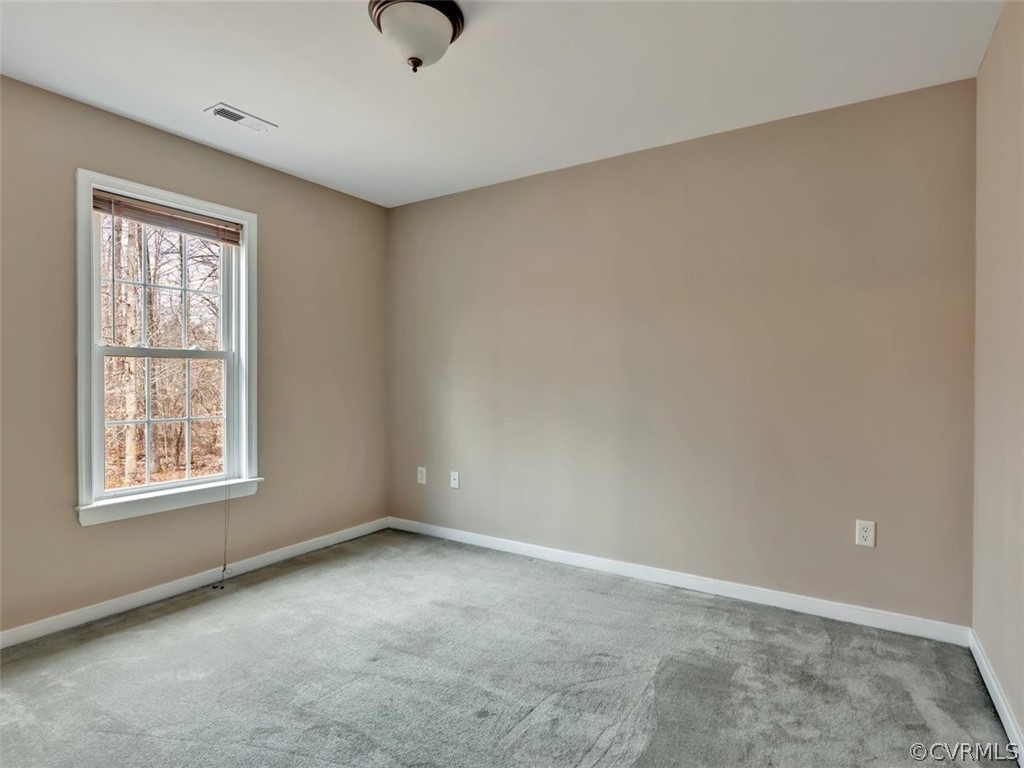 6672 Blenheim Road Powhatan, VA 23139 - Photo 18 of 26 Gallery Image 18