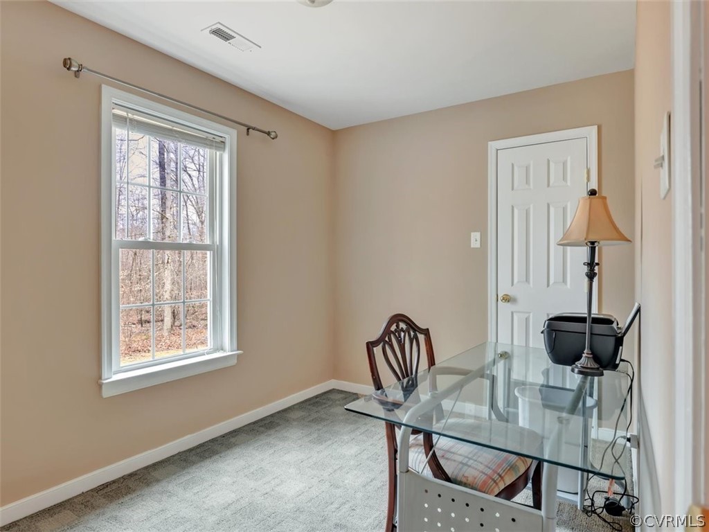 6672 Blenheim Road Powhatan, VA 23139 - Photo 20 of 26 Gallery Image 20