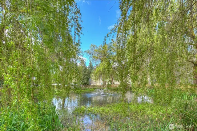 a water view of yard
