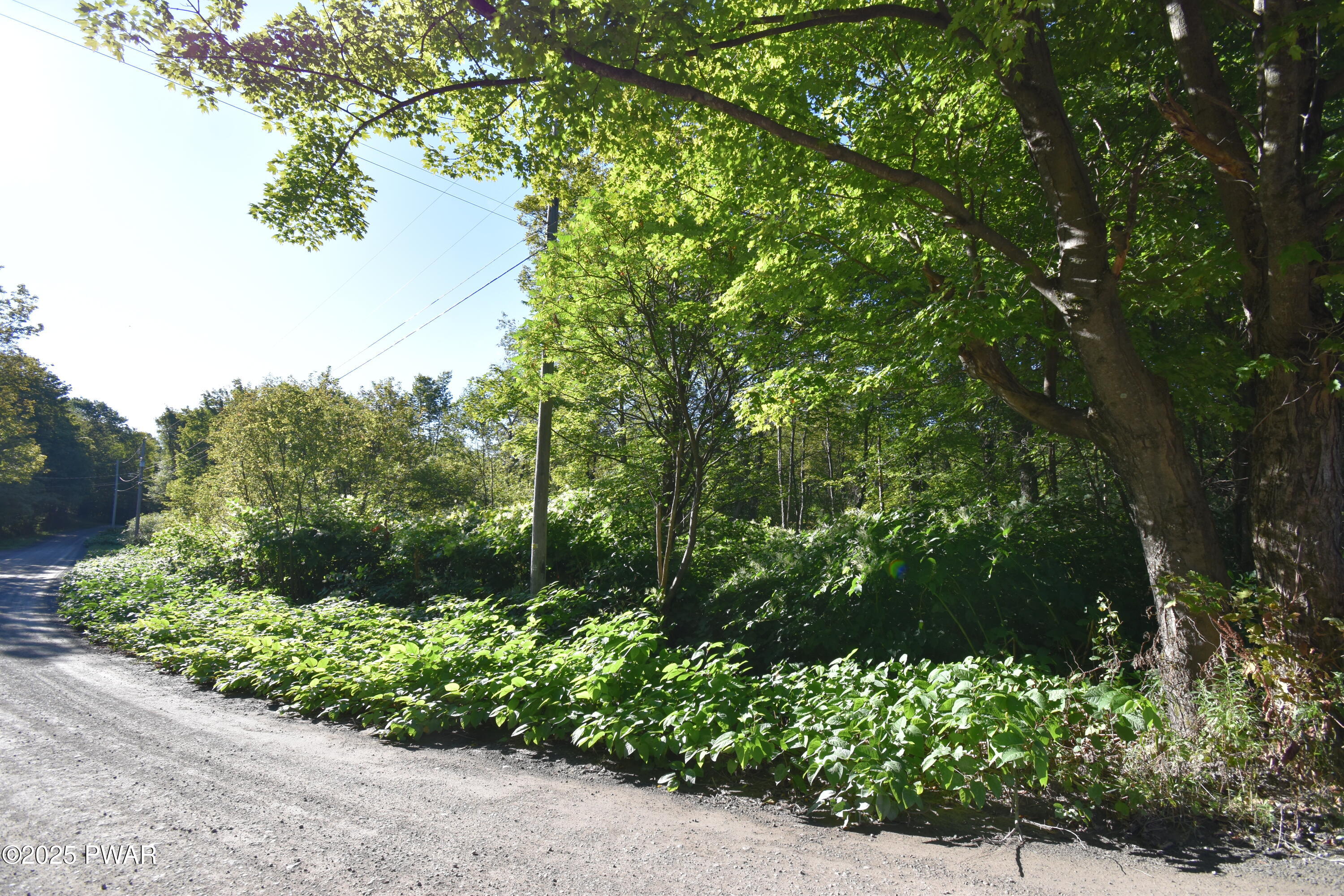 430 Flat Rock Road Forest City, PA 18421 - Photo 12 of 22
