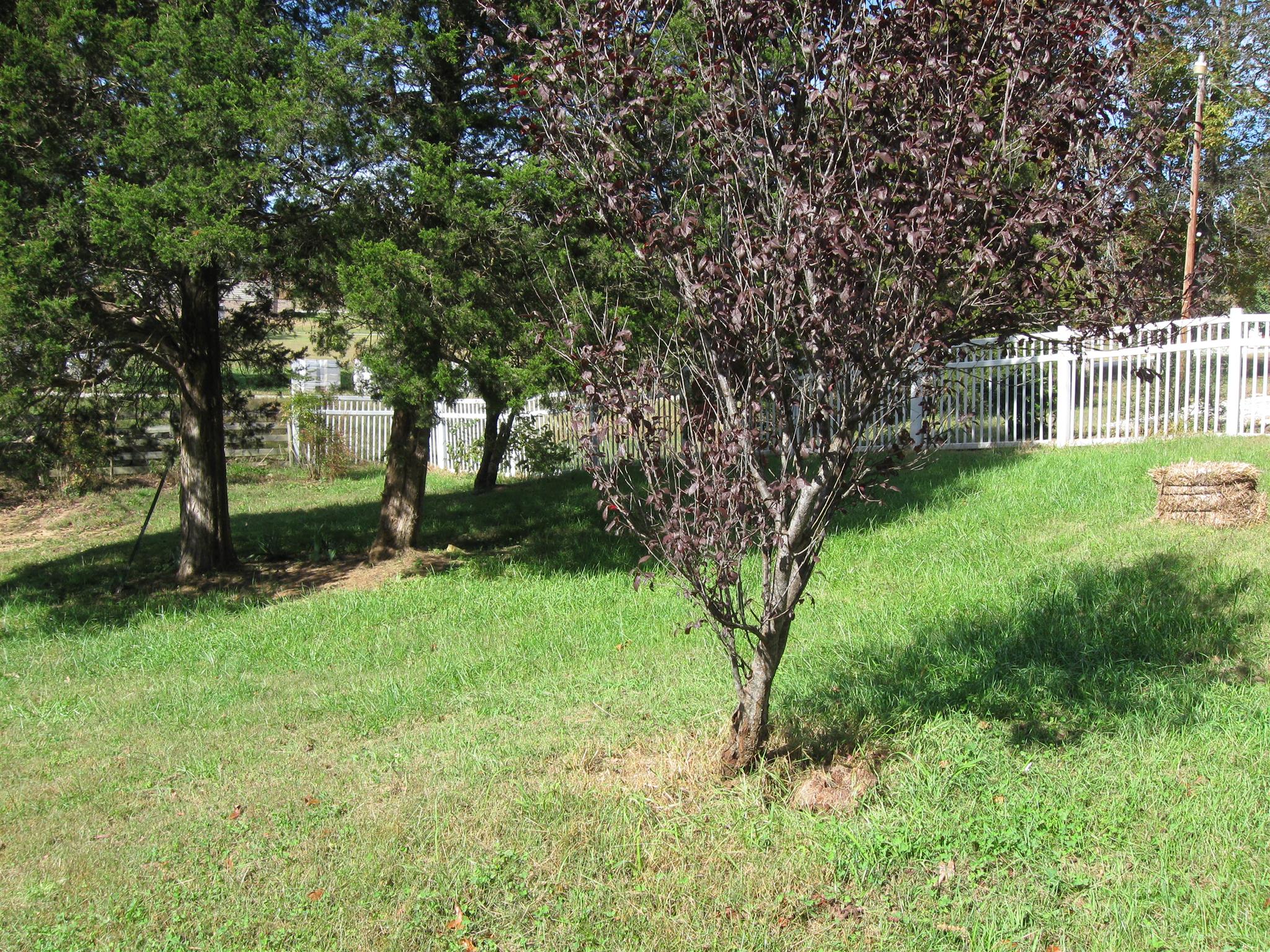 1050 Lewis Road Burns, TN 37029 - Photo 7 of 12 Gallery Image 7