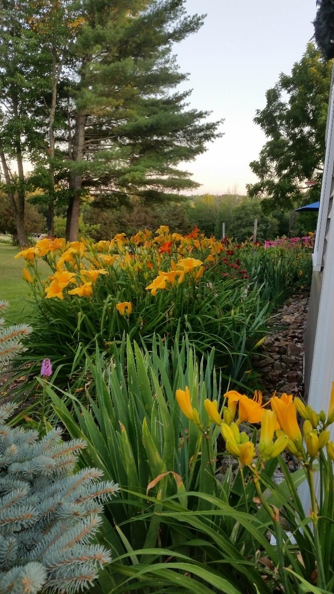 279 Province Road Barnstead, NH 03218 - Photo 39 of 39