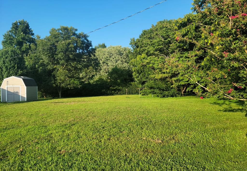 0 Palos Street Athens, TN 37303 - Photo 1 of 4