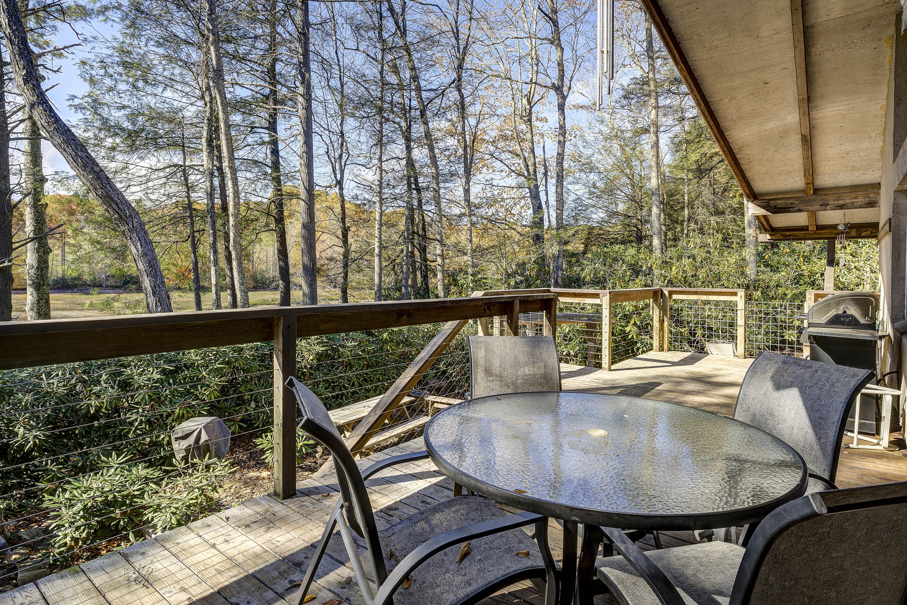 252 Ripshin Lake Road Roan Mountain, TN 37687 - Photo 14 of 87 Ripshin-55