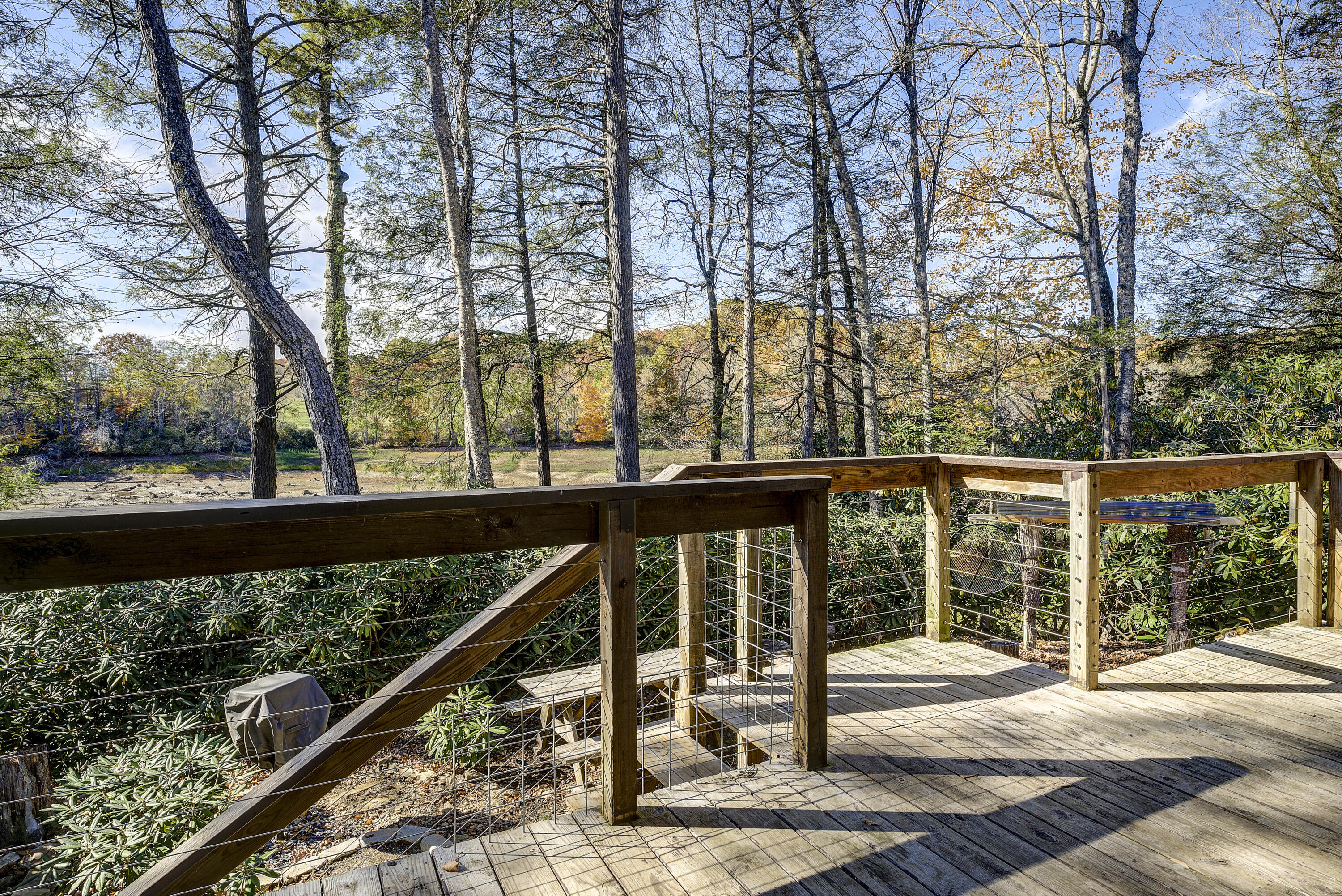 252 Ripshin Lake Road Roan Mountain, TN 37687 - Photo 15 of 87 Ripshin-54