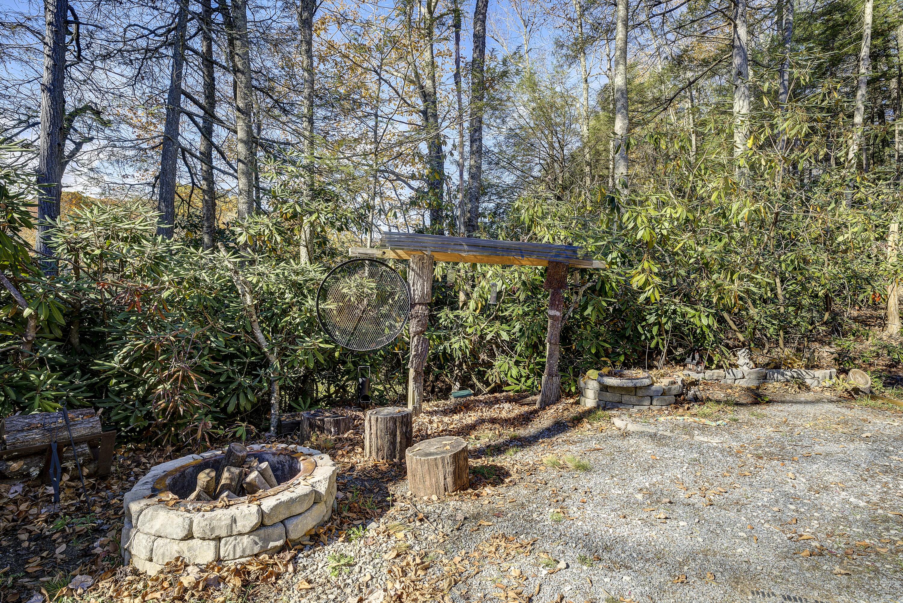 252 Ripshin Lake Road Roan Mountain, TN 37687 - Photo 18 of 87 Ripshin-58