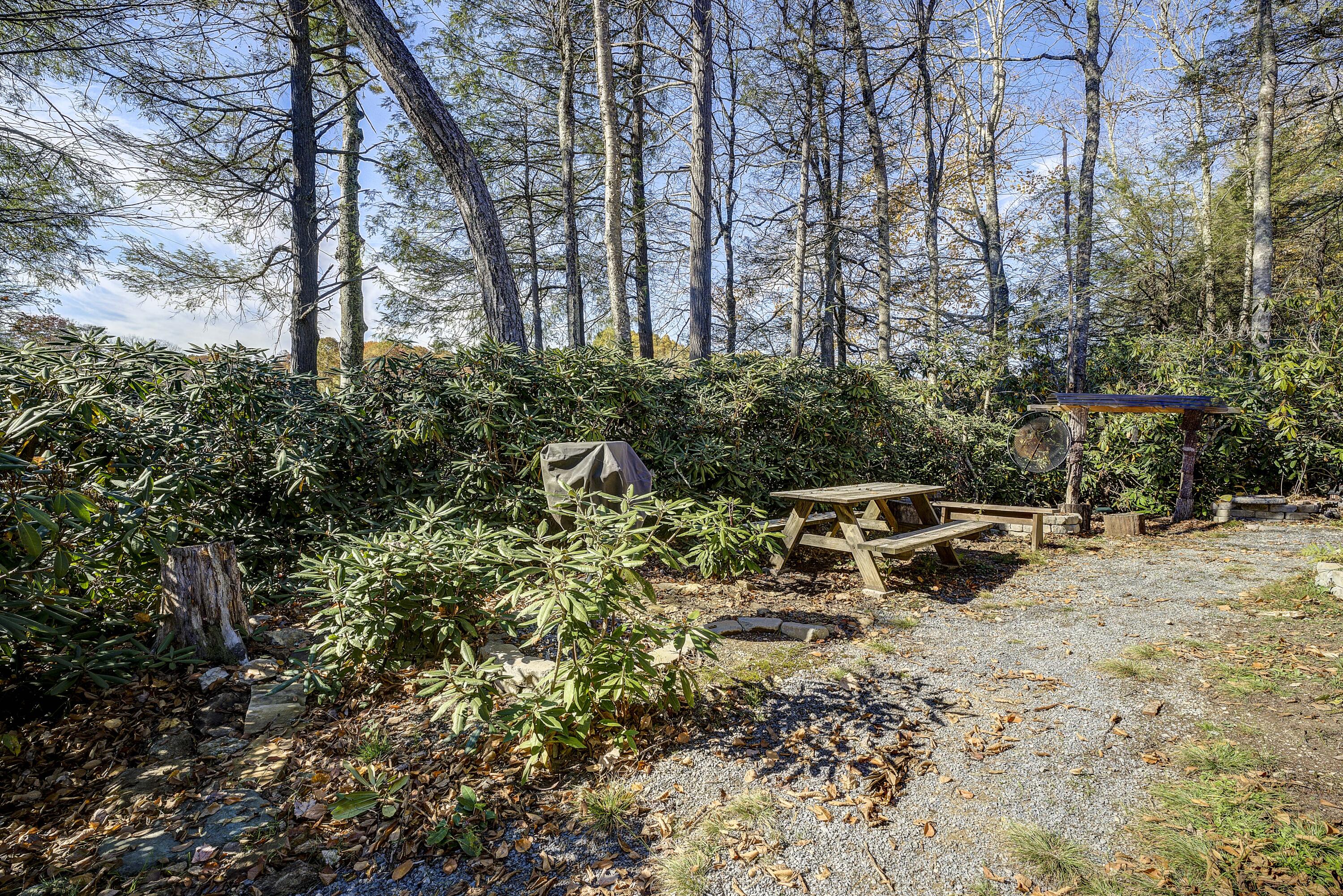 252 Ripshin Lake Road Roan Mountain, TN 37687 - Photo 19 of 87 Ripshin-57