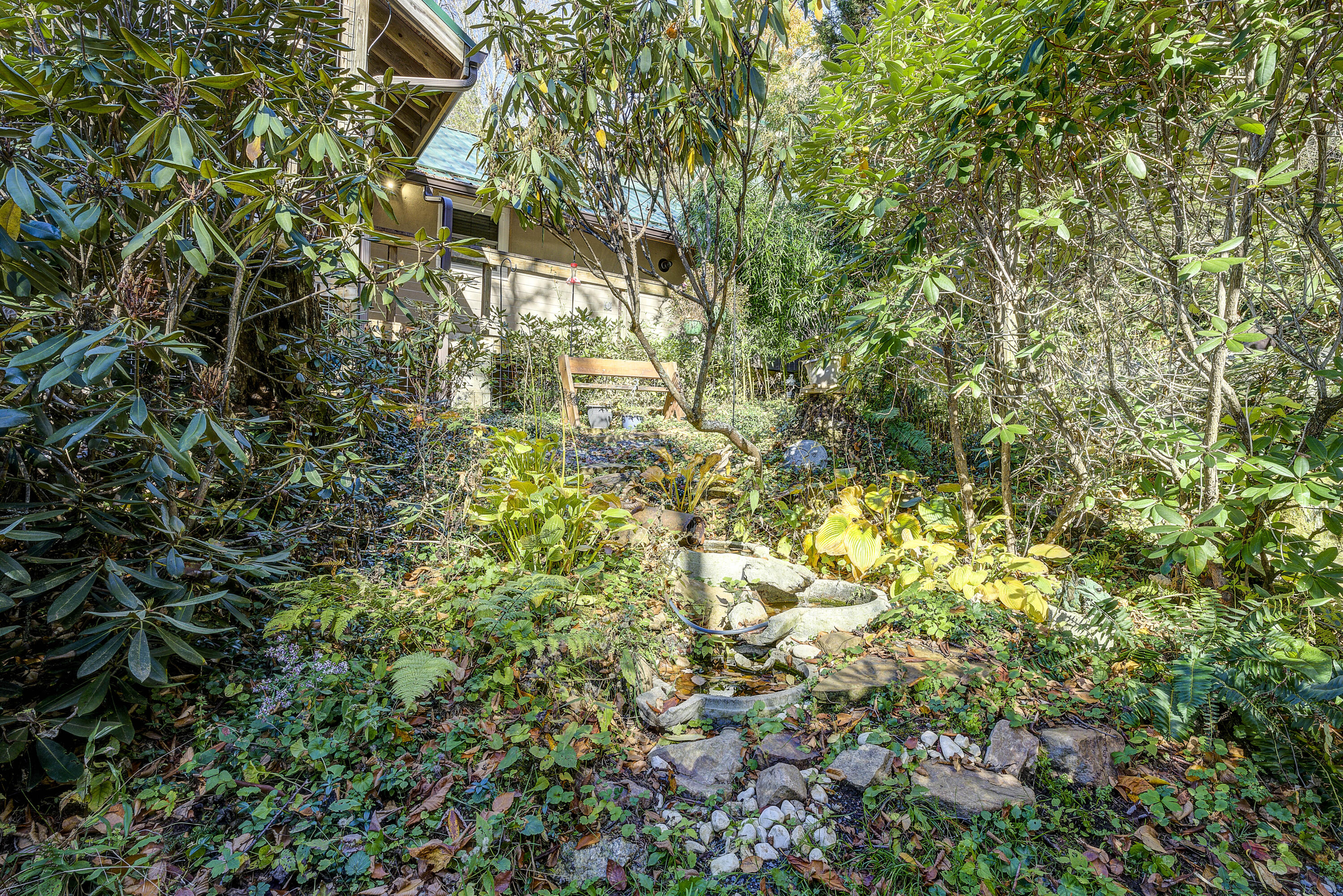 252 Ripshin Lake Road Roan Mountain, TN 37687 - Photo 20 of 87 Ripshin-50