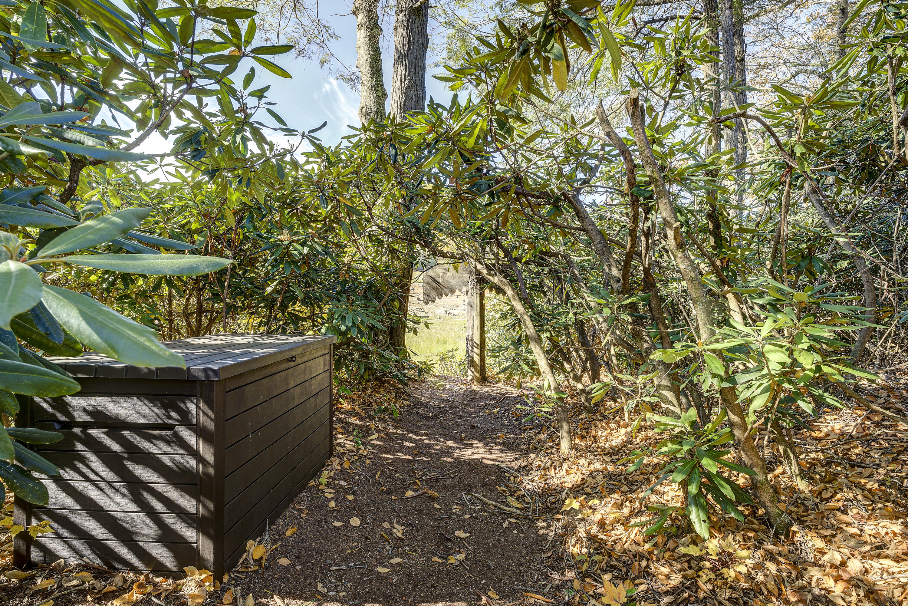 252 Ripshin Lake Road Roan Mountain, TN 37687 - Photo 22 of 87 Ripshin-59