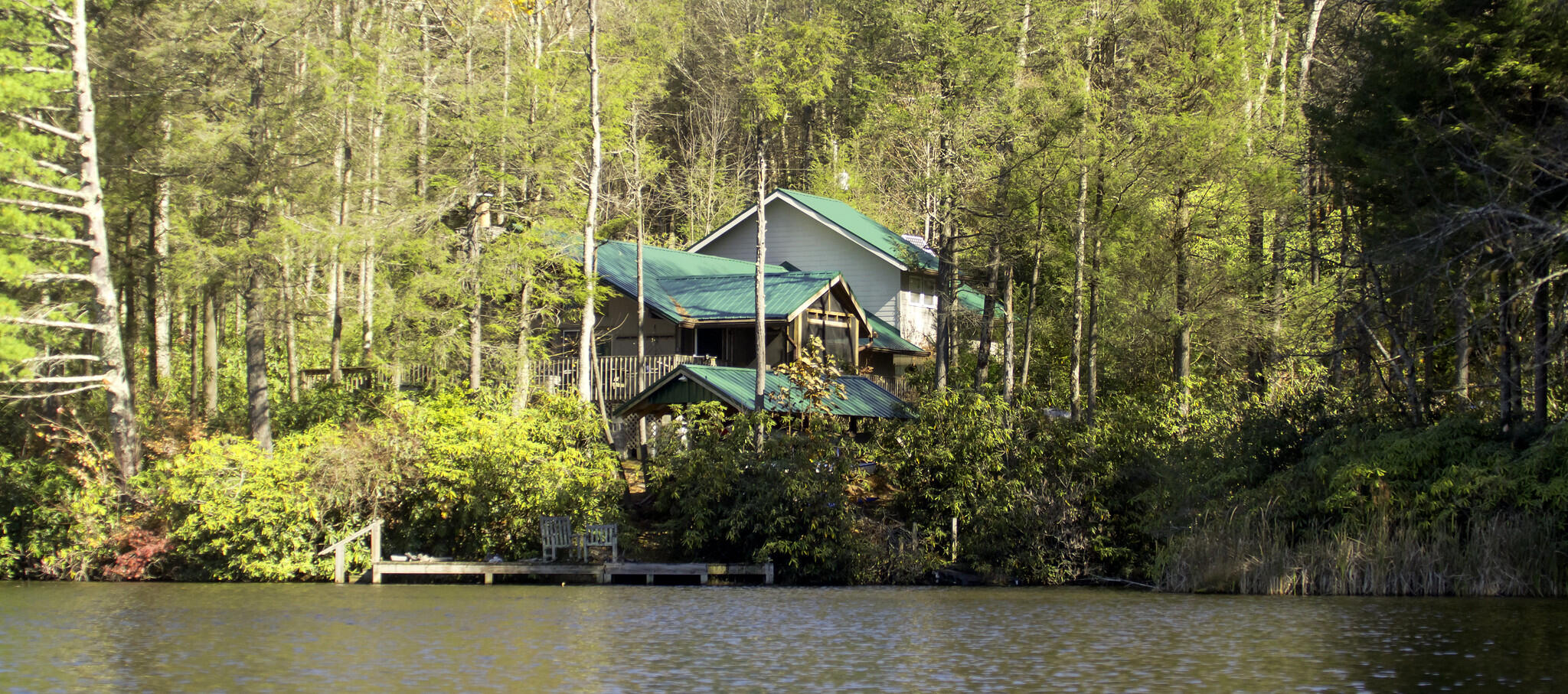 252 Ripshin Lake Road Roan Mountain, TN 37687 - Photo 4 of 87 When lake was up