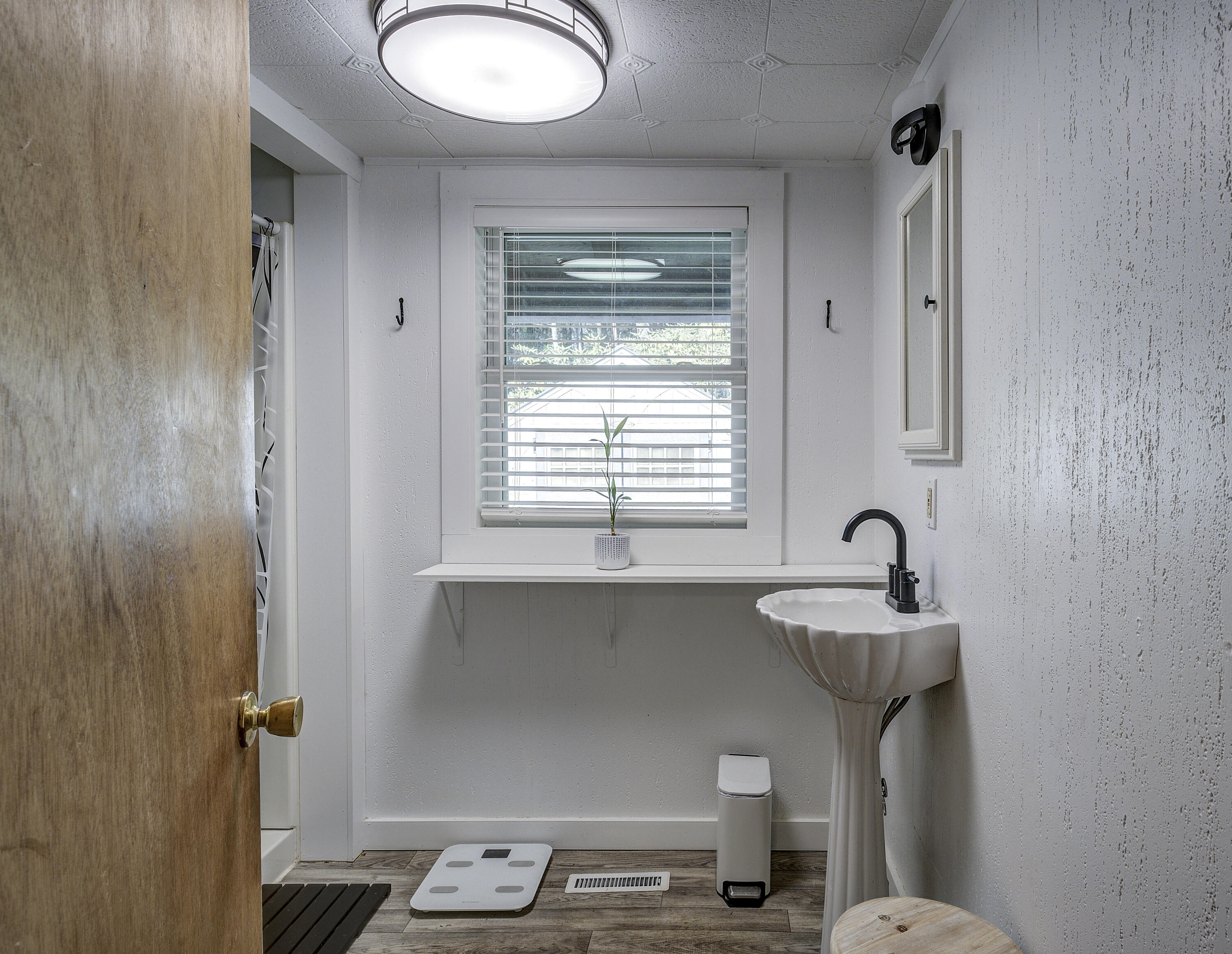 252 Ripshin Lake Road Roan Mountain, TN 37687 - Photo 41 of 87 Ripshin-23