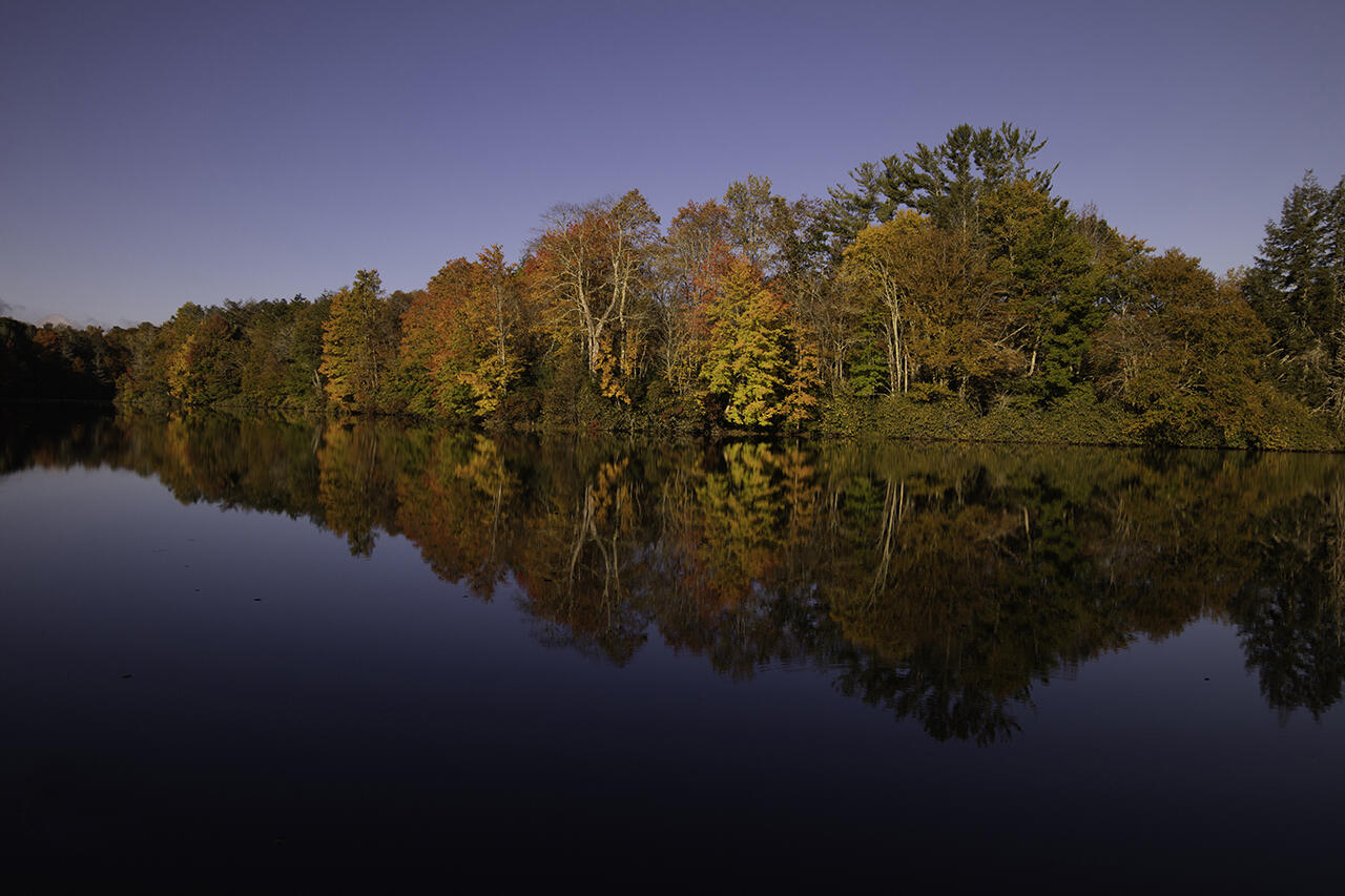 252 Ripshin Lake Road Roan Mountain, TN 37687 - Photo 5 of 87 Full Pool