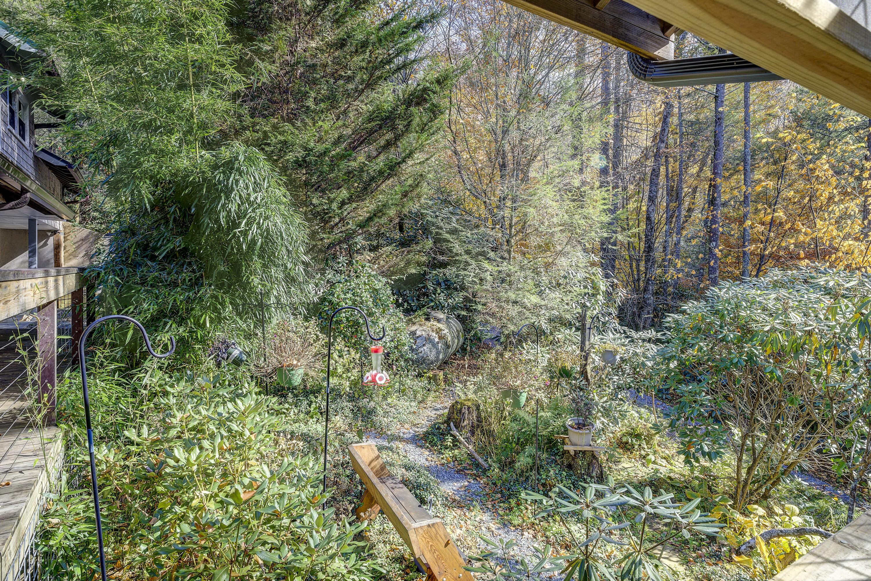 252 Ripshin Lake Road Roan Mountain, TN 37687 - Photo 62 of 87 Ripshin-45