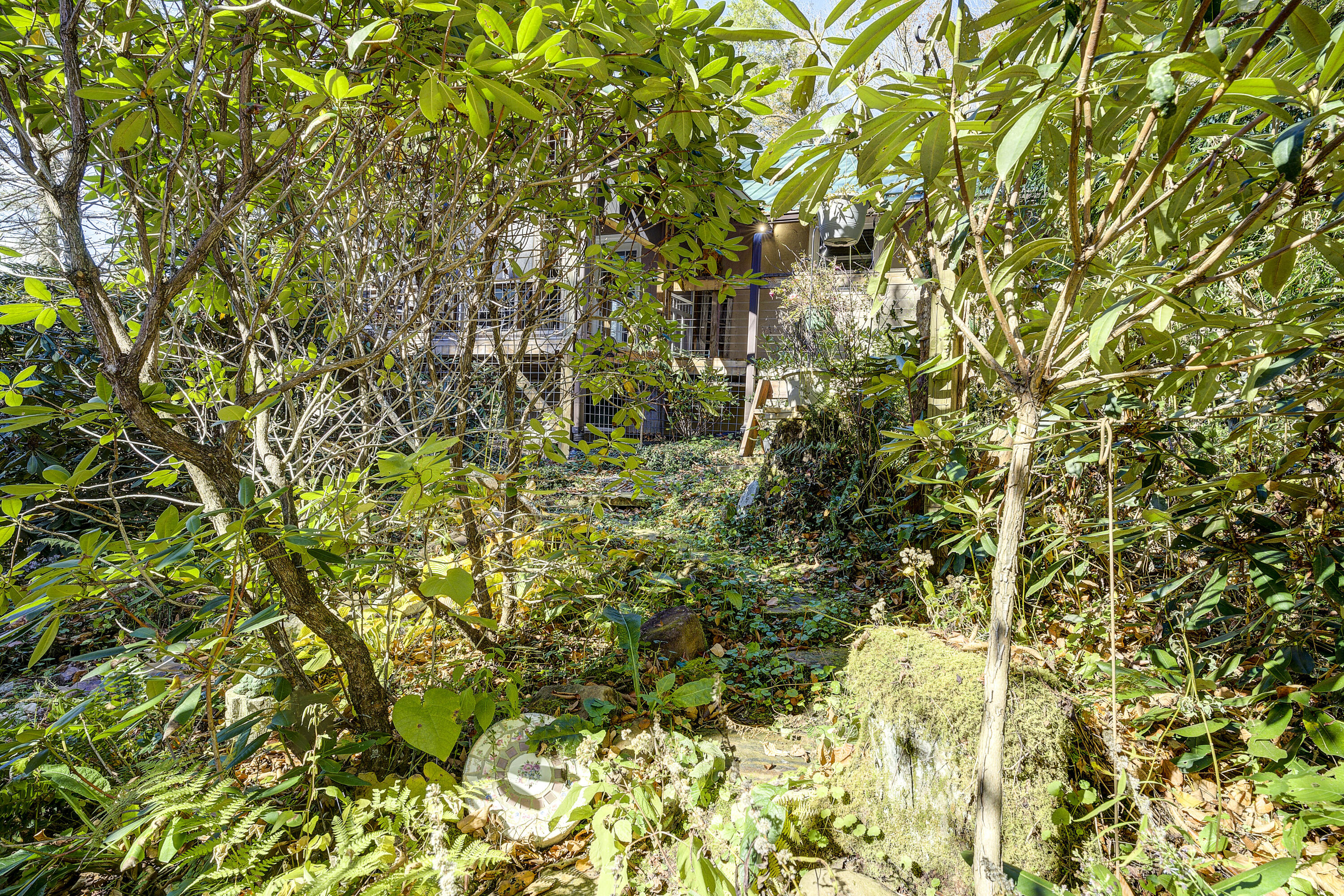 252 Ripshin Lake Road Roan Mountain, TN 37687 - Photo 63 of 87 Ripshin-53