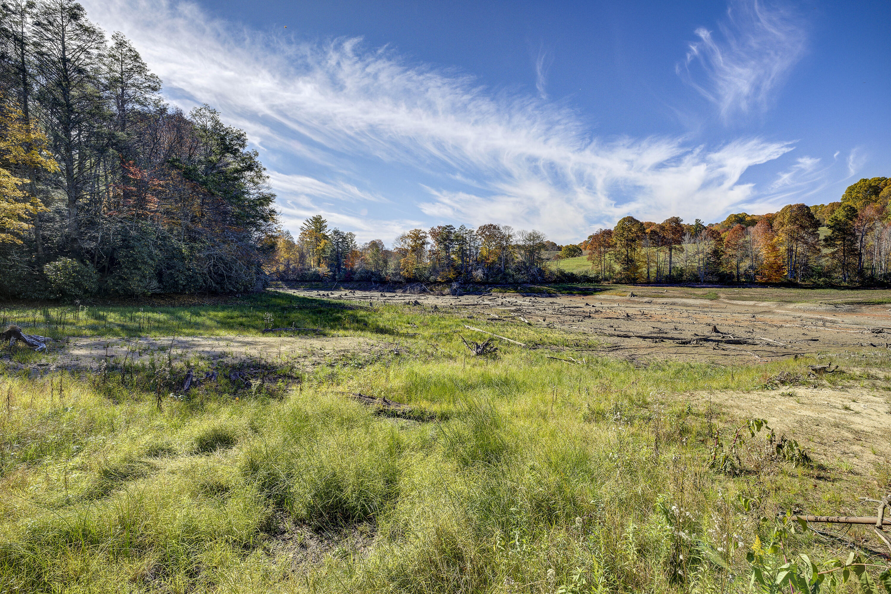252 Ripshin Lake Road Roan Mountain, TN 37687 - Photo 64 of 87 Ripshin-63