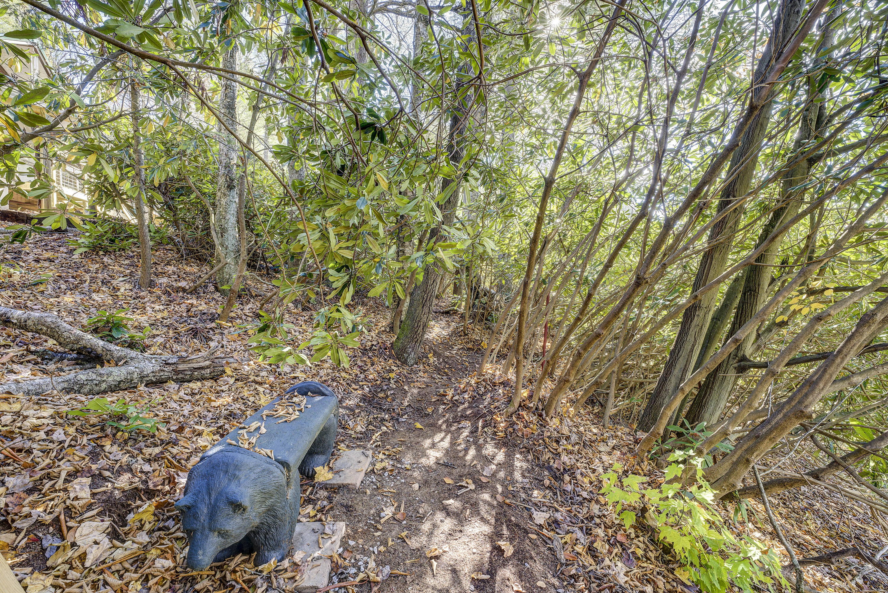 252 Ripshin Lake Road Roan Mountain, TN 37687 - Photo 65 of 87 Ripshin-66