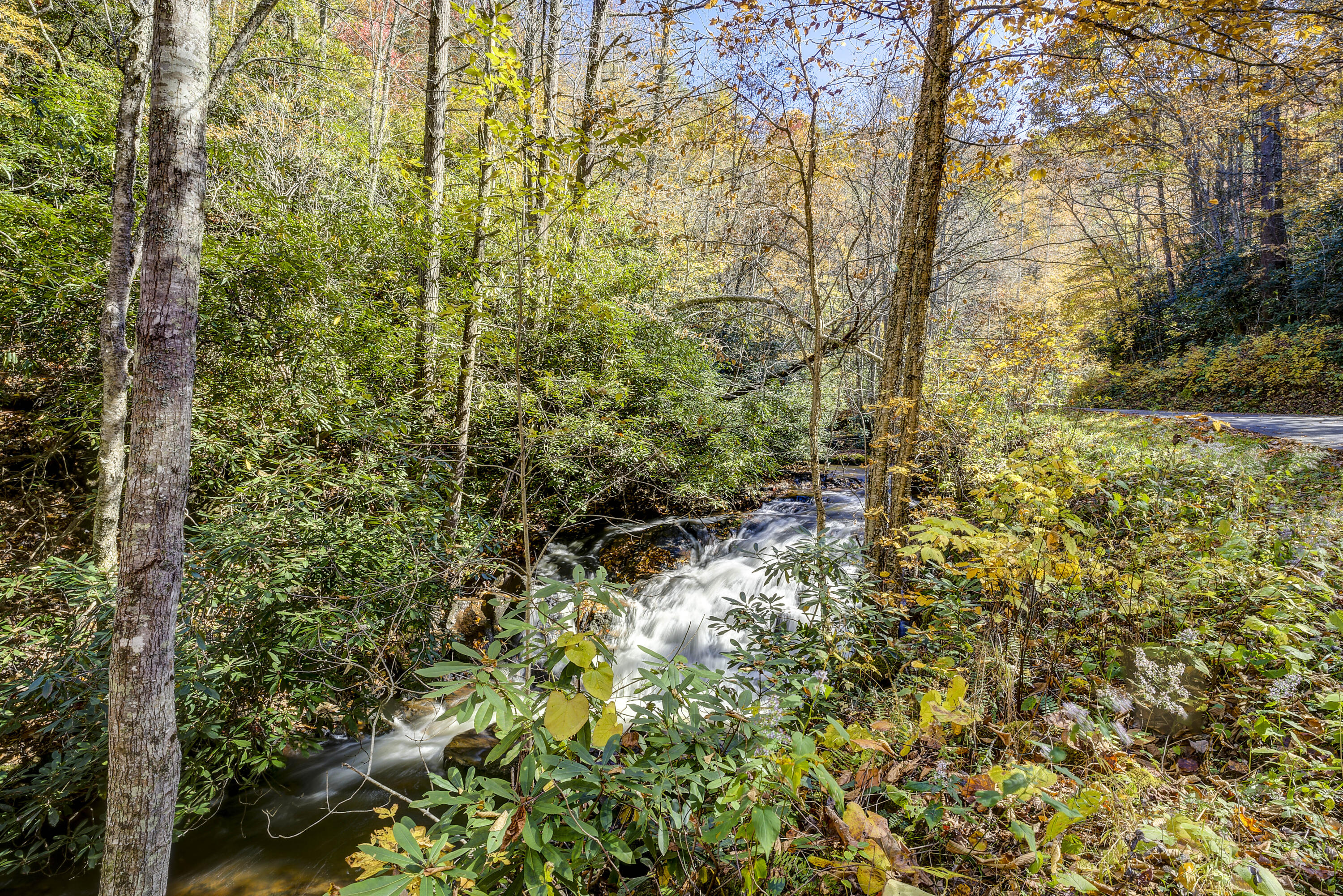 252 Ripshin Lake Road Roan Mountain, TN 37687 - Photo 67 of 87 Ripshin-1