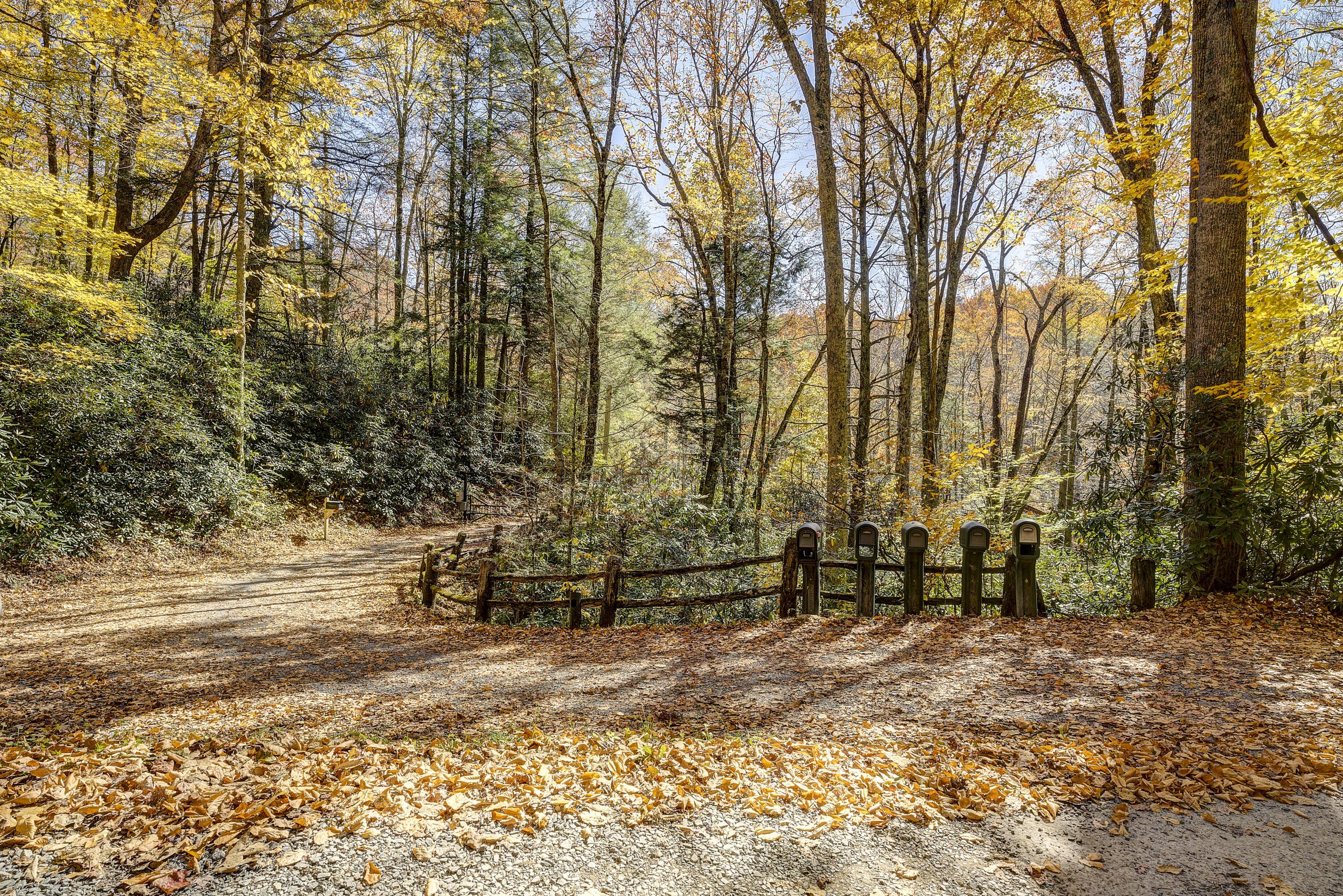 252 Ripshin Lake Road Roan Mountain, TN 37687 - Photo 68 of 87 Ripshin-7