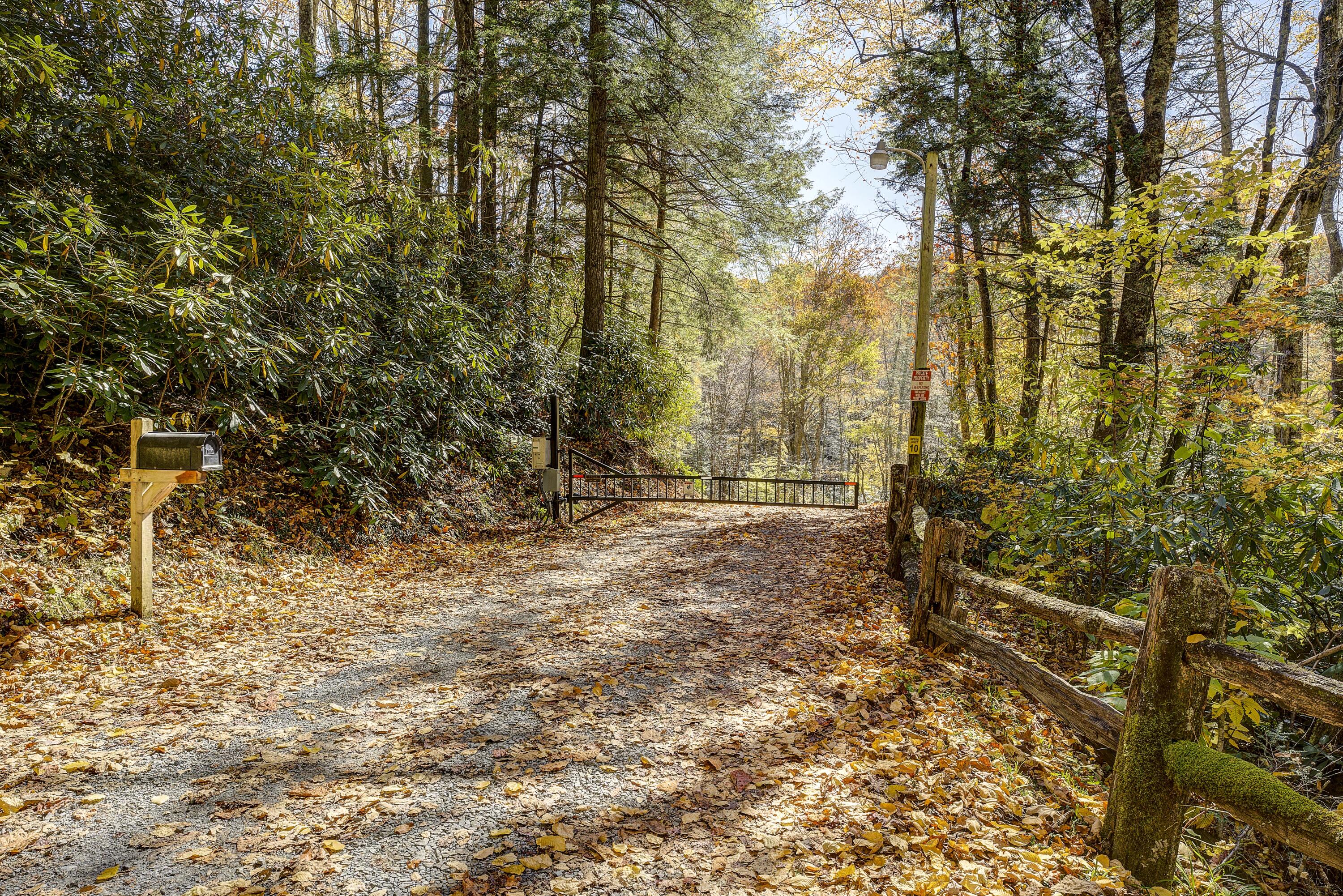 252 Ripshin Lake Road Roan Mountain, TN 37687 - Photo 69 of 87 Ripshin-2