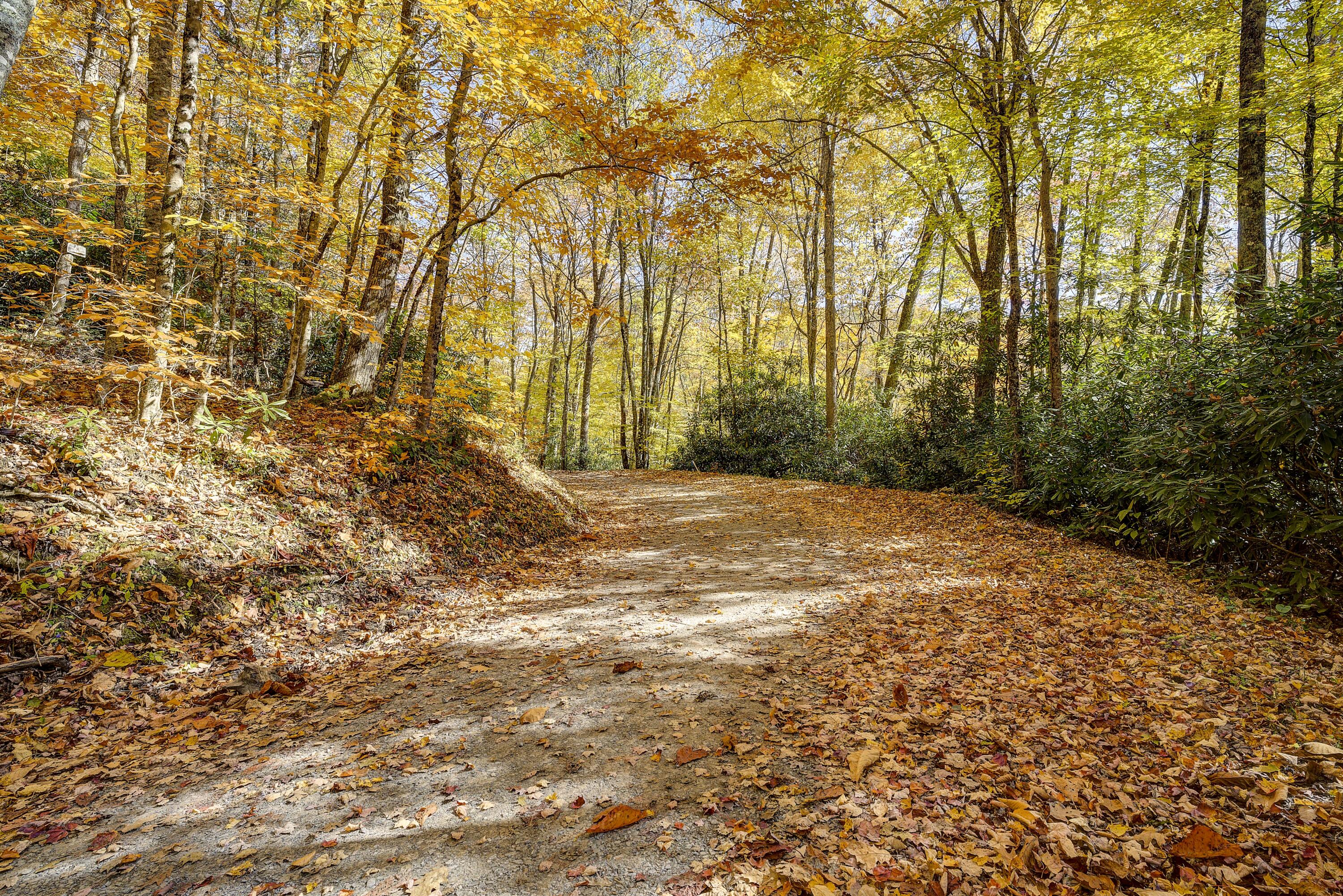 252 Ripshin Lake Road Roan Mountain, TN 37687 - Photo 70 of 87 Ripshin-4