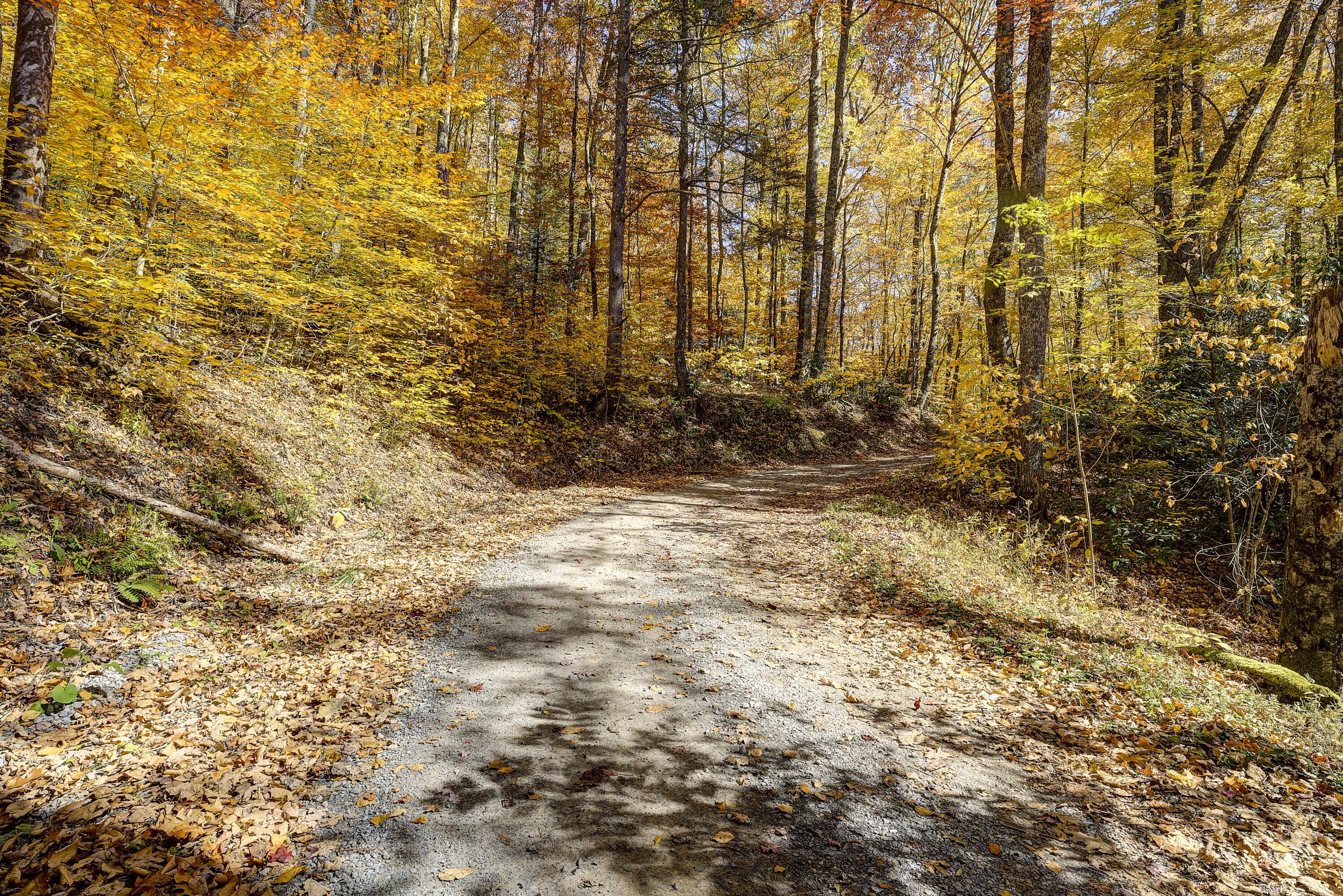 252 Ripshin Lake Road Roan Mountain, TN 37687 - Photo 71 of 87 Ripshin-3