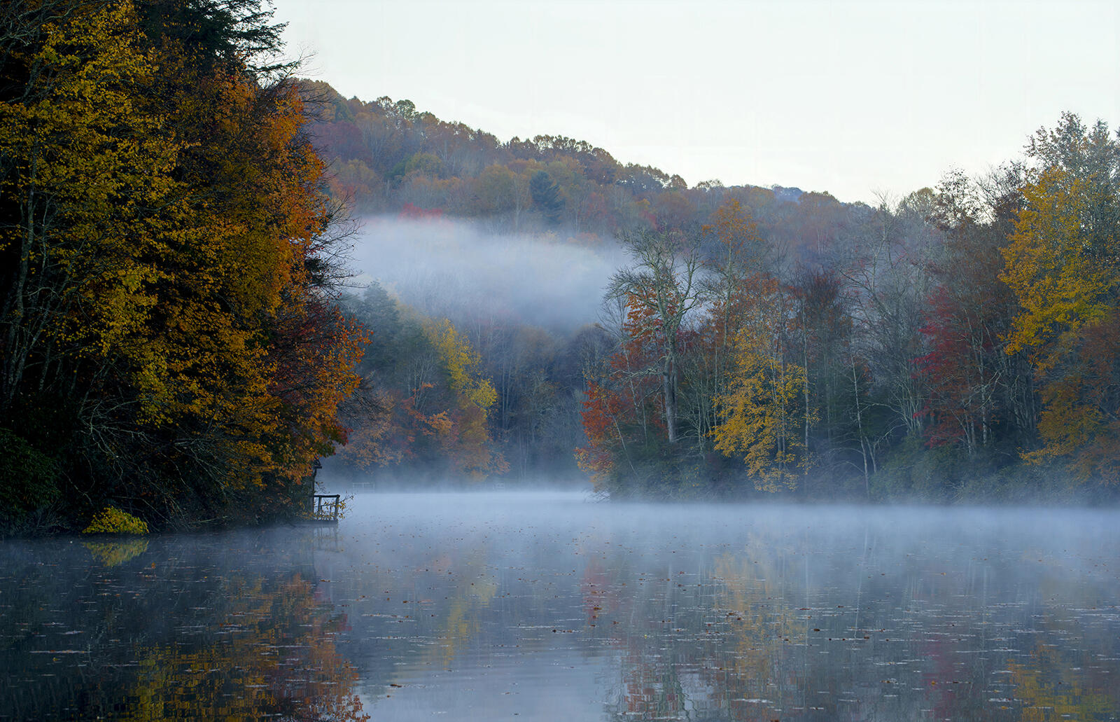 252 Ripshin Lake Road Roan Mountain, TN 37687 - Photo 73 of 87 Foggy Morning Full Pool