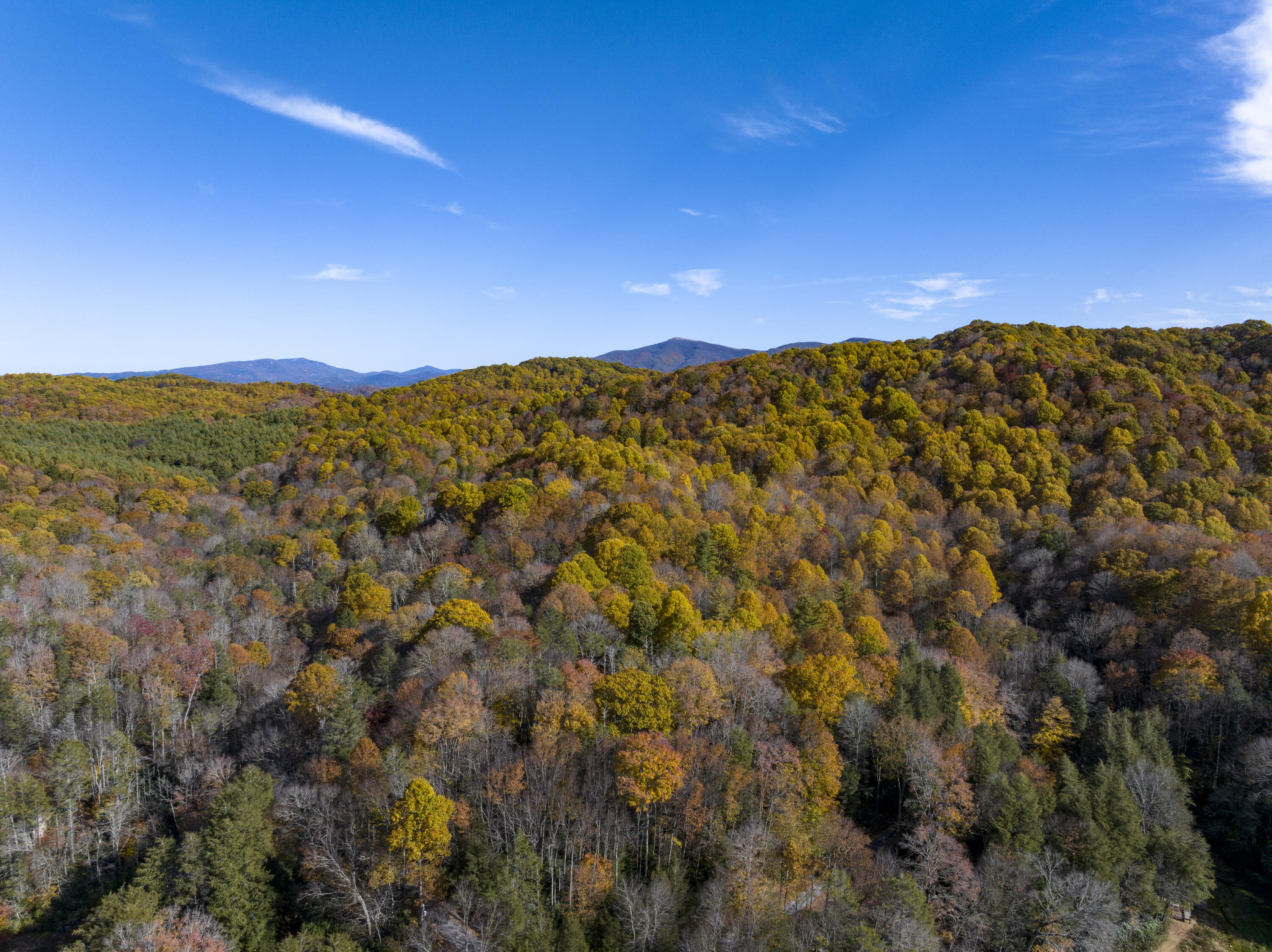 252 Ripshin Lake Road Roan Mountain, TN 37687 - Photo 83 of 87 RipShin-Aerials-13