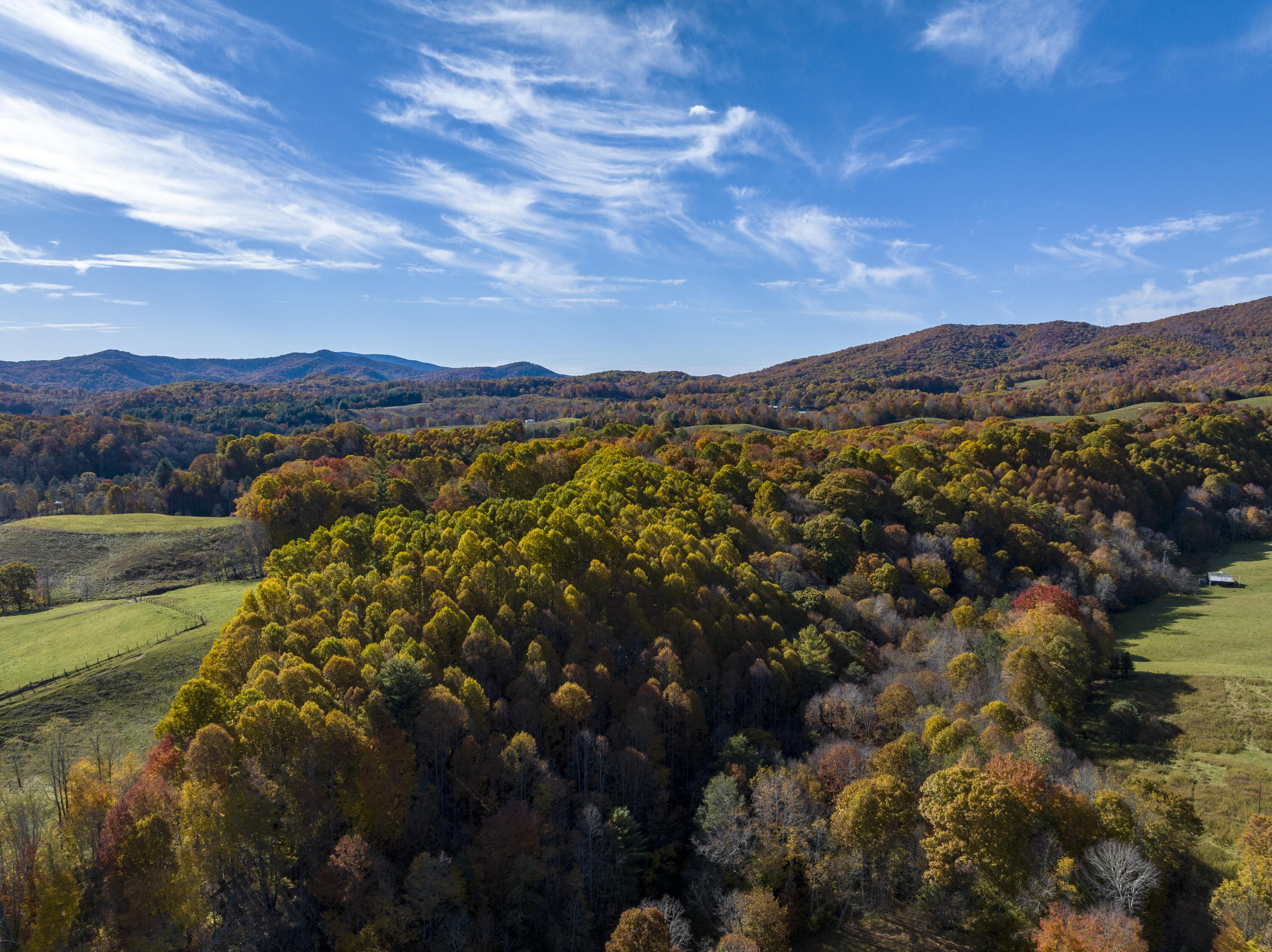 252 Ripshin Lake Road Roan Mountain, TN 37687 - Photo 84 of 87 RipShin-Aerials-14