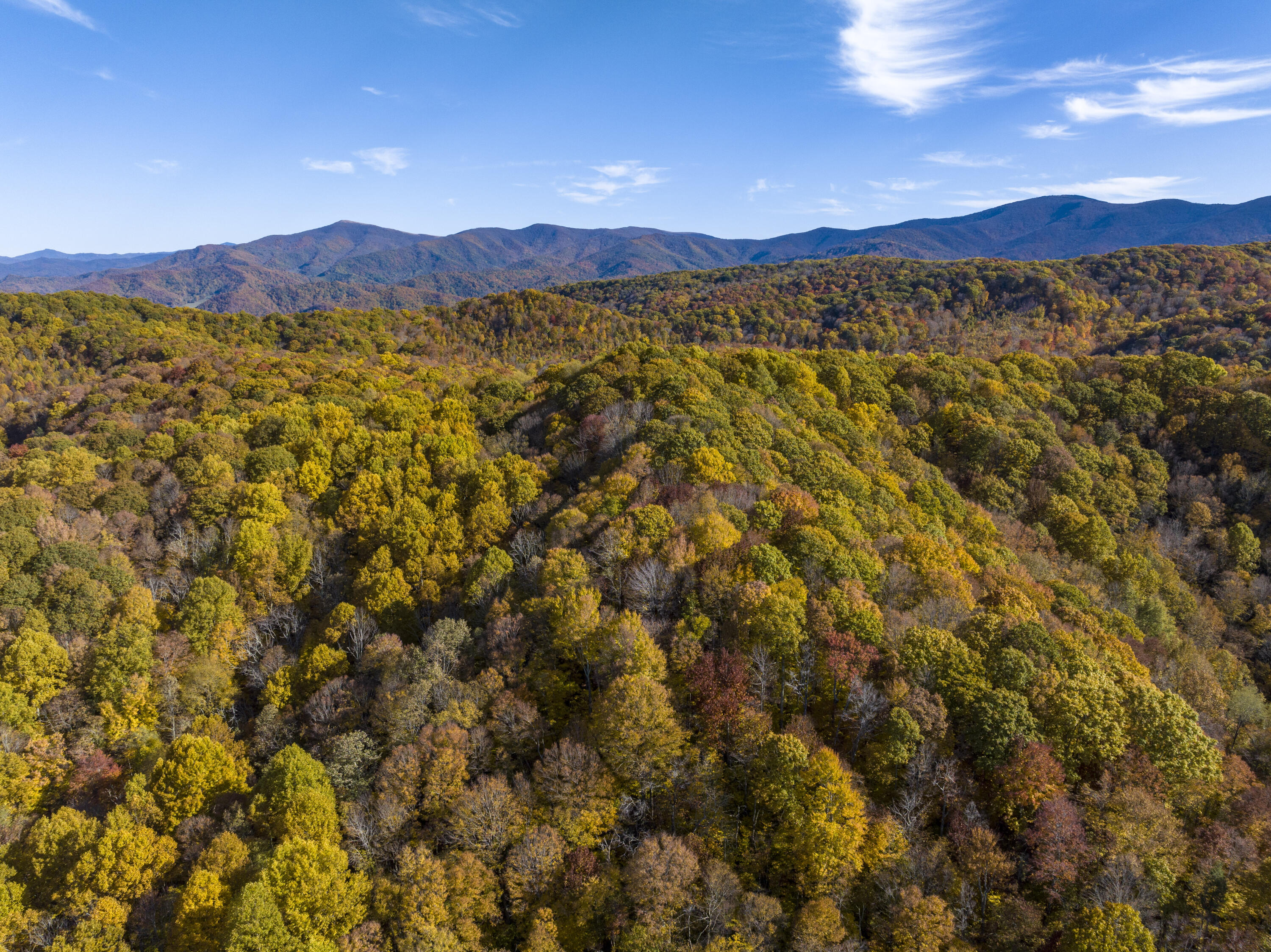 252 Ripshin Lake Road Roan Mountain, TN 37687 - Photo 85 of 87 RipShin-Aerials-18