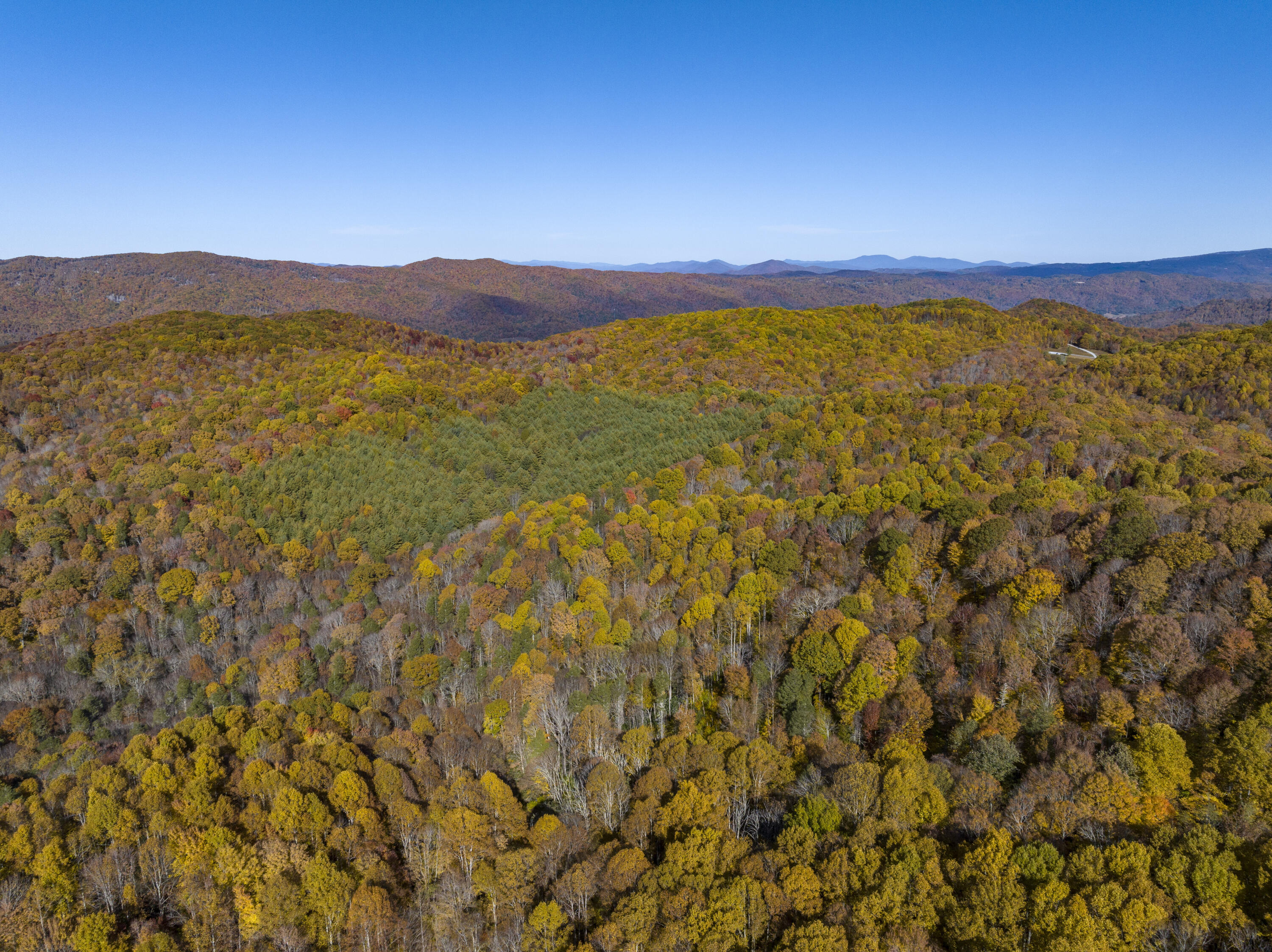 252 Ripshin Lake Road Roan Mountain, TN 37687 - Photo 86 of 87 RipShin-Aerials-19