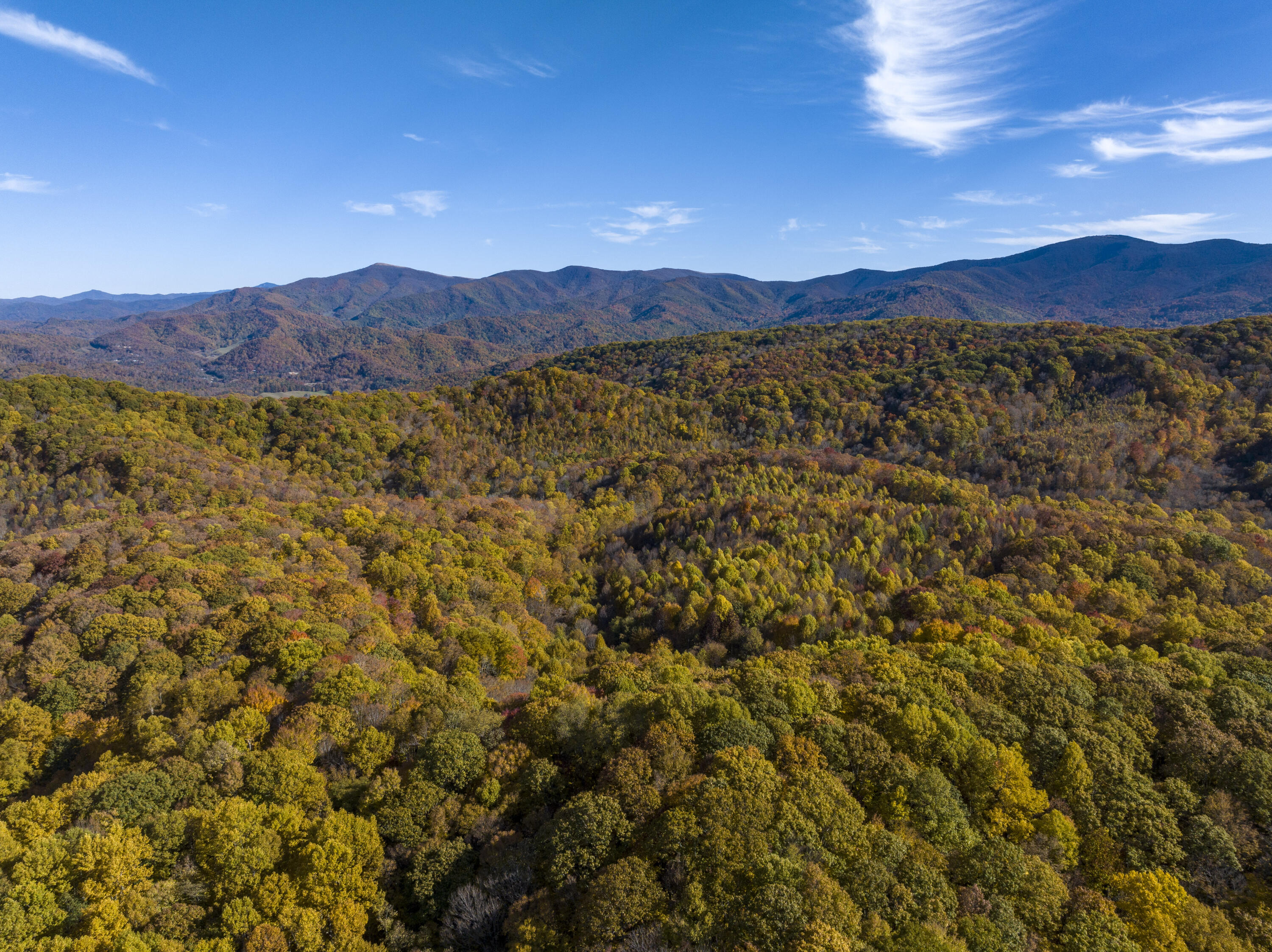 252 Ripshin Lake Road Roan Mountain, TN 37687 - Photo 87 of 87 RipShin-Aerials-20