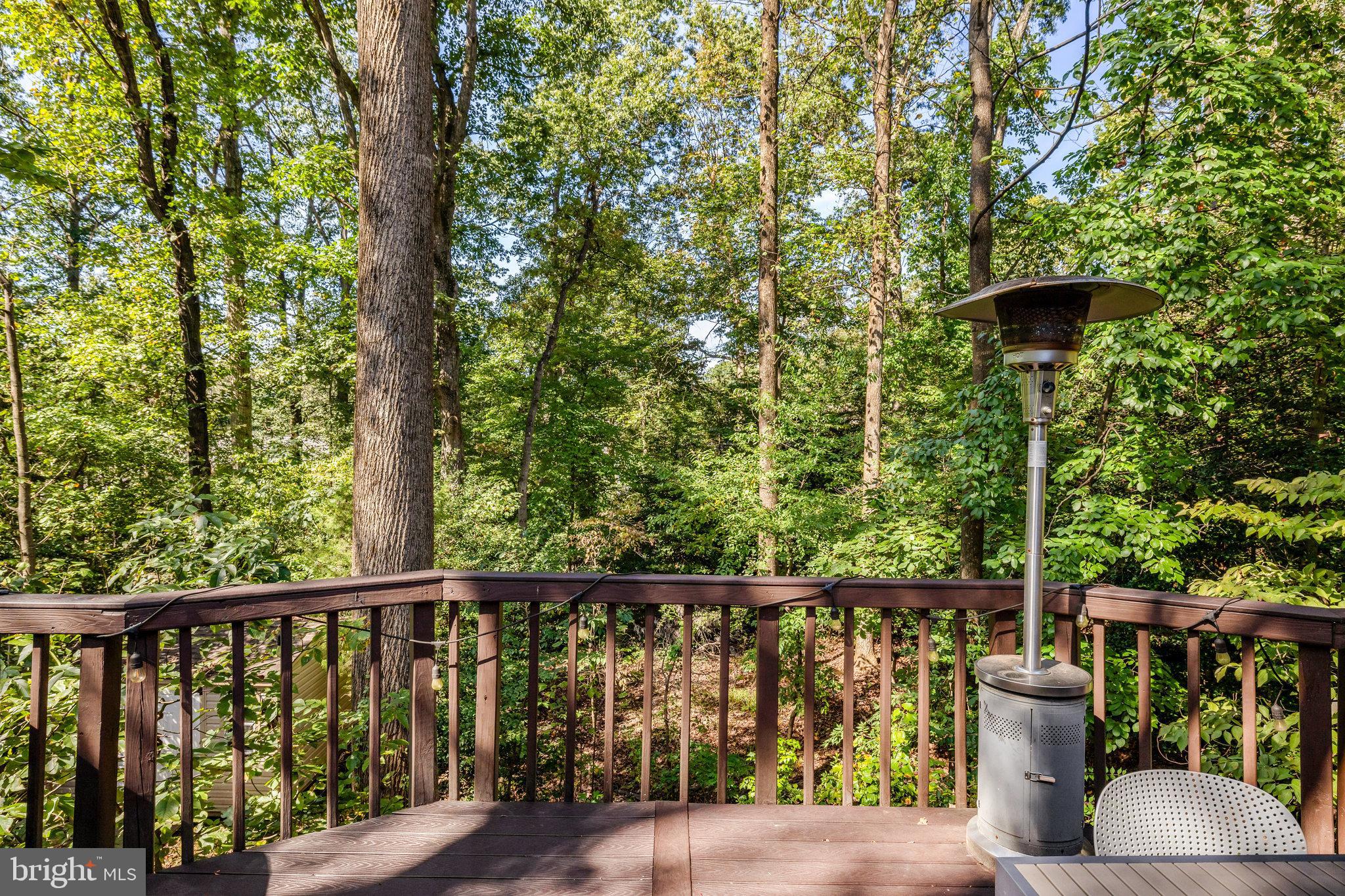 11637 Quail Ridge Court Reston, VA 20194 - Photo 13 of 46 a view of balcony with furniture and potted plants