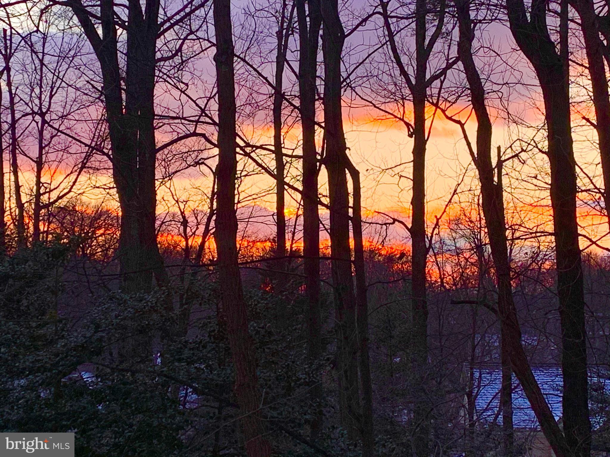 11637 Quail Ridge Court Reston, VA 20194 - Photo 14 of 46 a backyard of a house with lots of green space