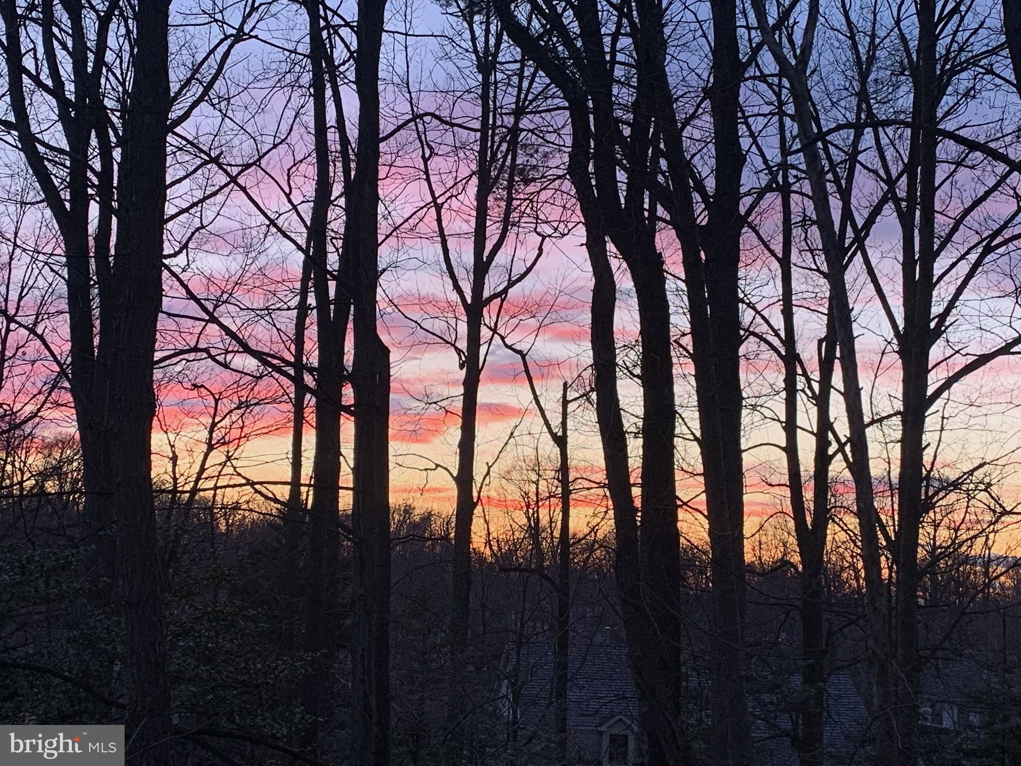 11637 Quail Ridge Court Reston, VA 20194 - Photo 15 of 46 a backyard of a house with lots of green space