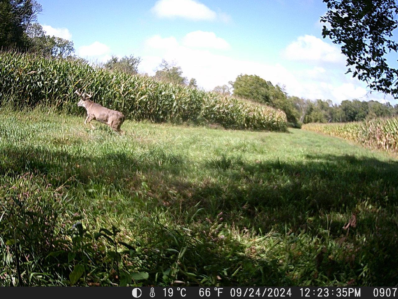 Tbd Deer Road Canton, MN 55922 - Photo 9 of 18 Gallery Image 9