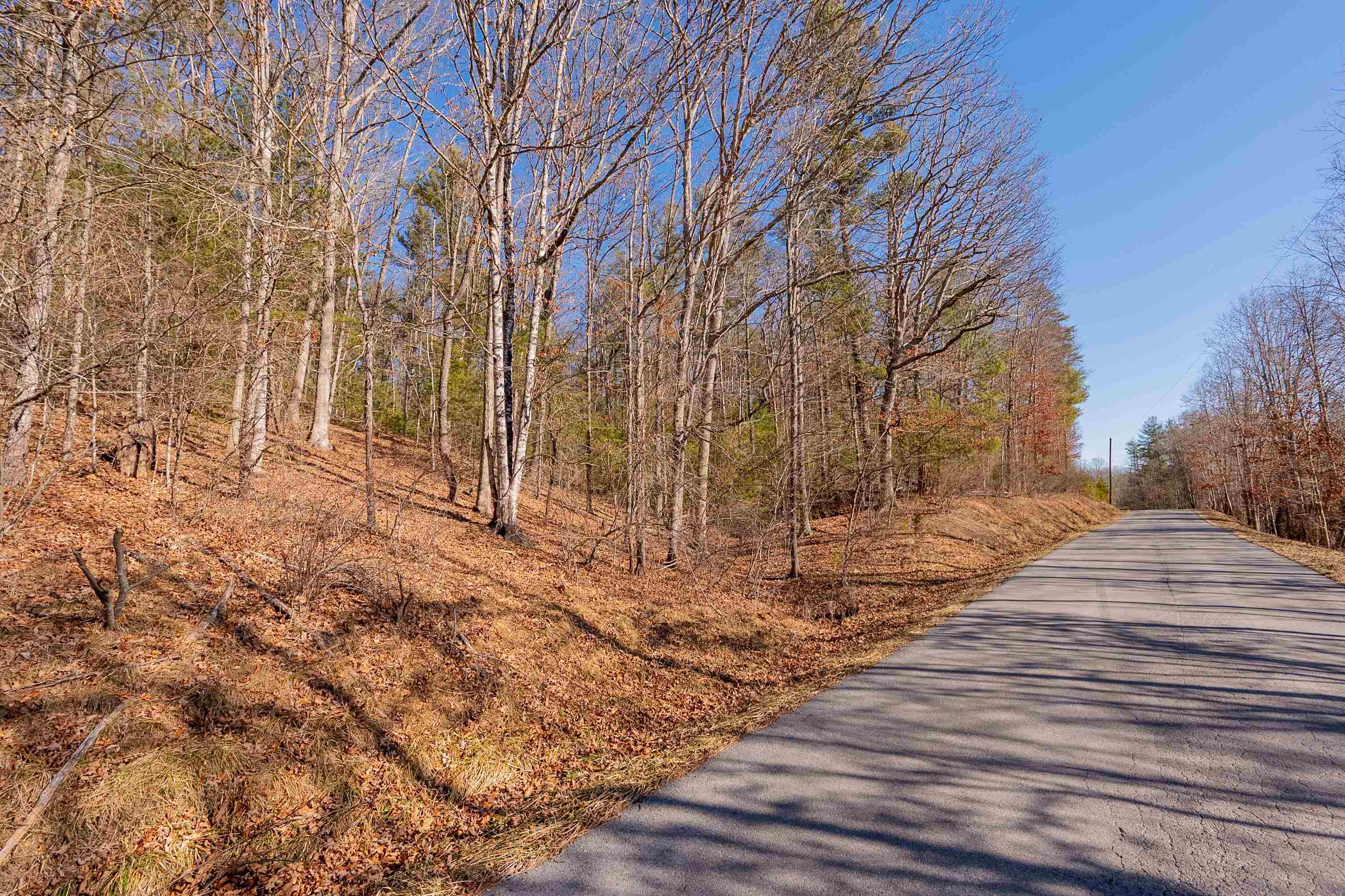 0 Kimberling Road Bland, VA 24315 - Photo 42 of 72 Gallery Image 42