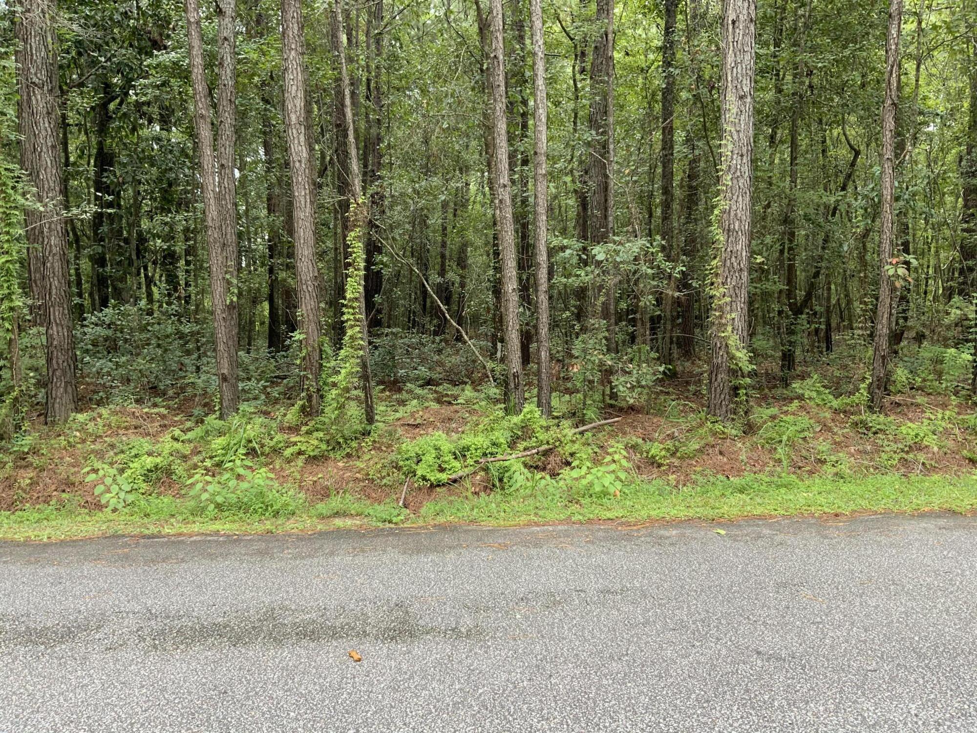 8735 Old Jacksonboro Road Adams Run, SC 29426 - Photo 1 of 5 jr1